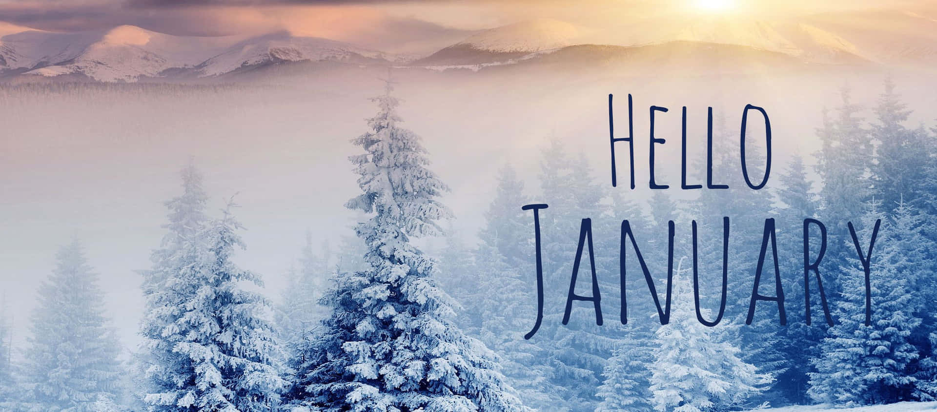 白雪松林、霧氣和山脈在日出時分，帶有hello january文字
