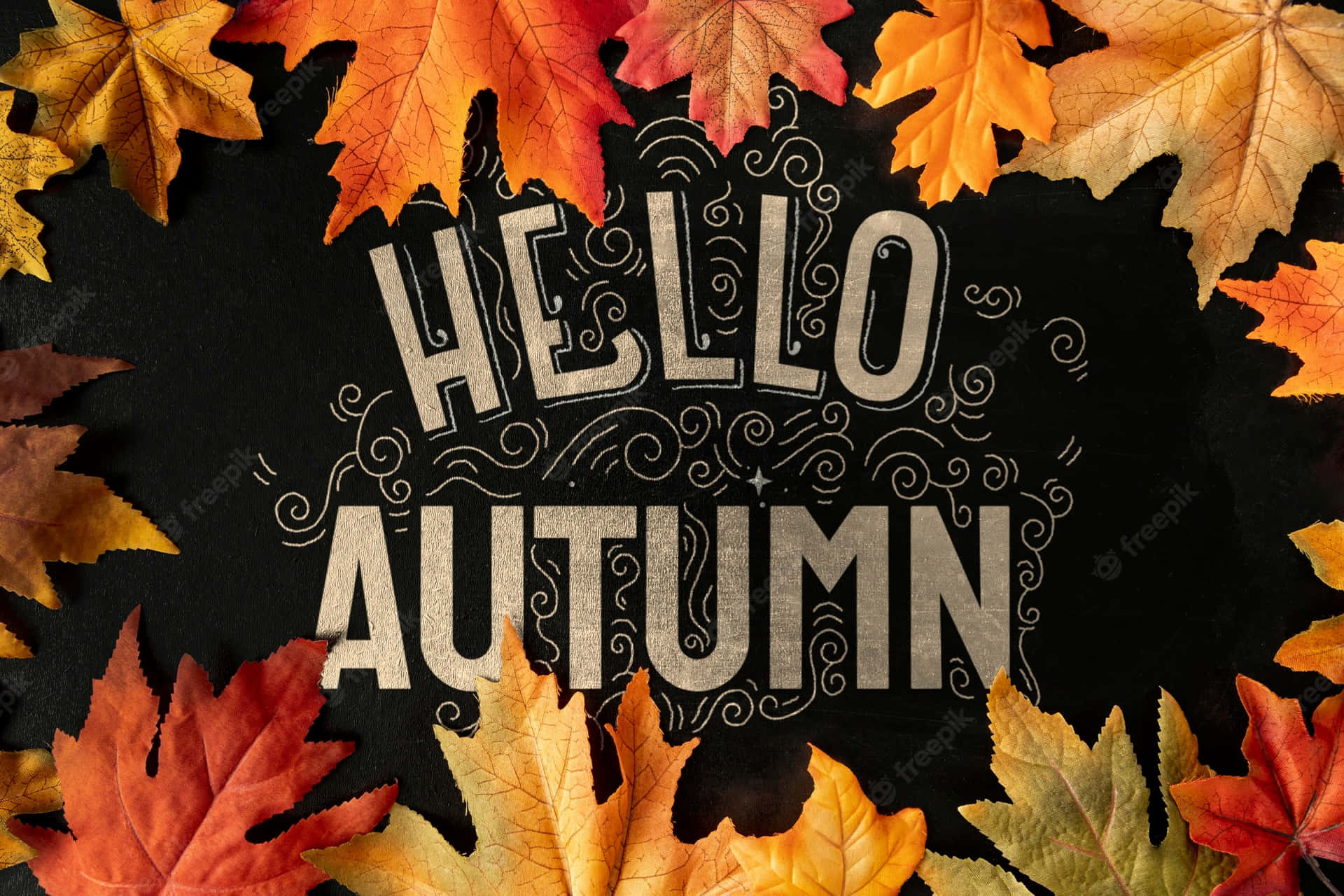 秋葉圍繞著黑板上的「hello autumn」文字。
