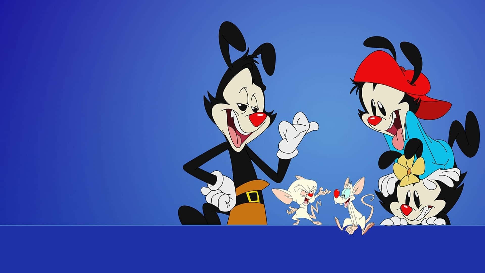 歡迎進入 Animaniacs 的世界！ 壁紙 — 四個卡通角色，面帶燦爛笑容，紅鼻子，從藍色邊框上方探出頭來，背景為純藍色。