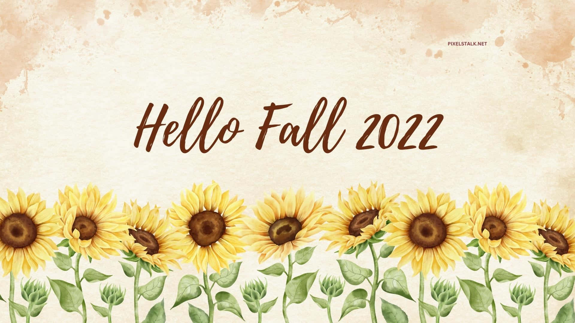 向日葵和文字 Hello Fall 2022 在帶紋理的背景上。