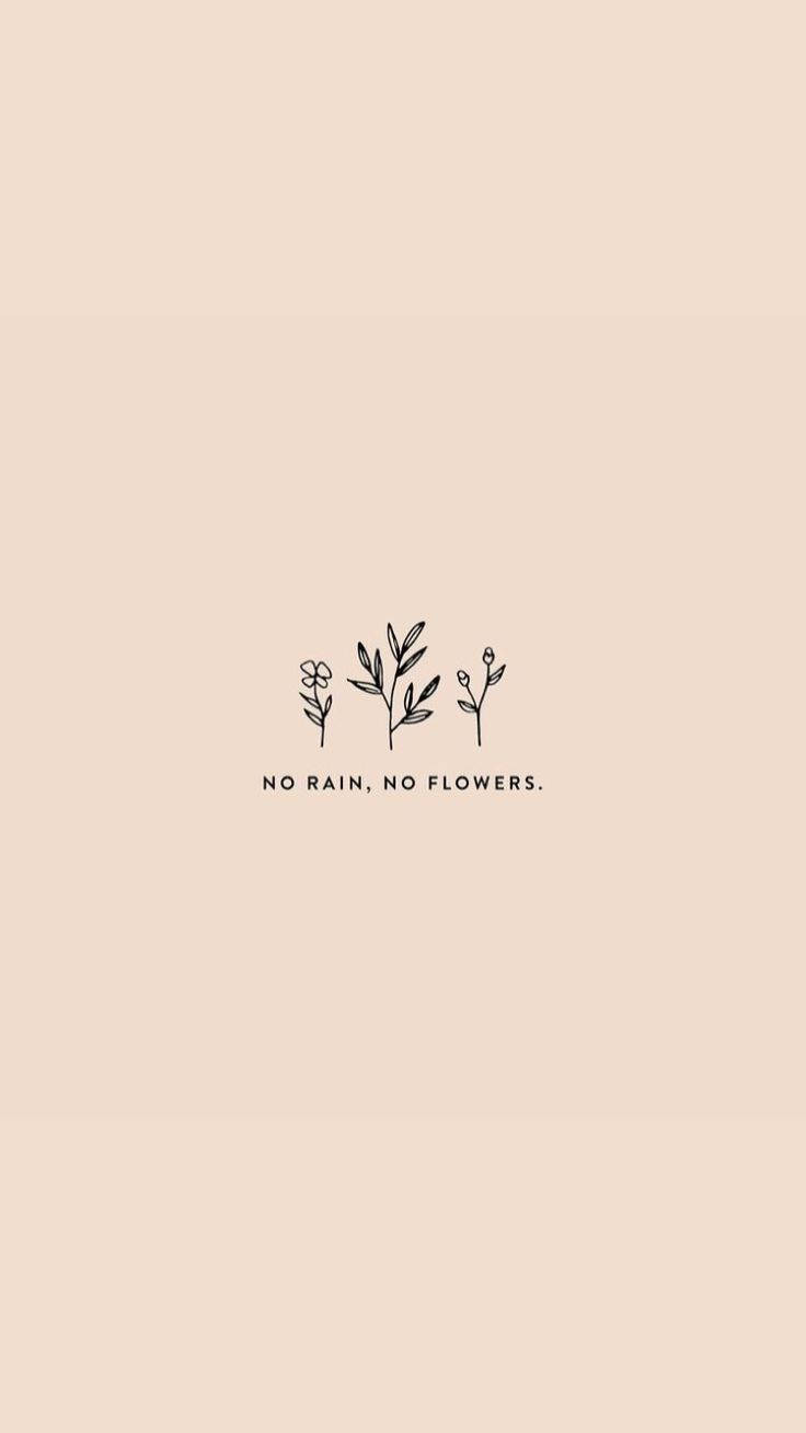 三株簡單線條繪製的植物，在米色背景上帶有「no rain no flowers」文字。