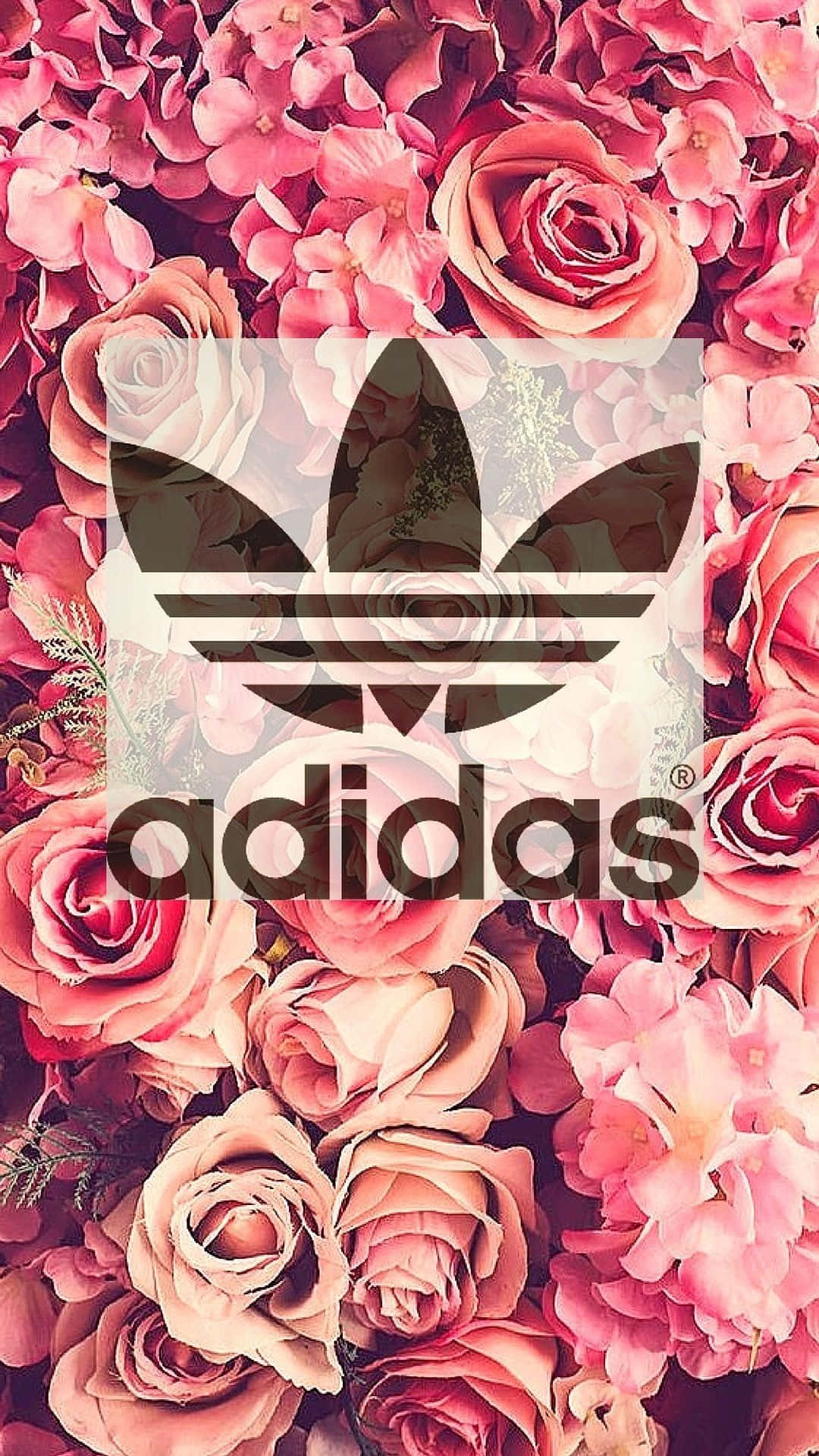 Adidas標誌疊加在粉紅玫瑰和繡球花背景上。