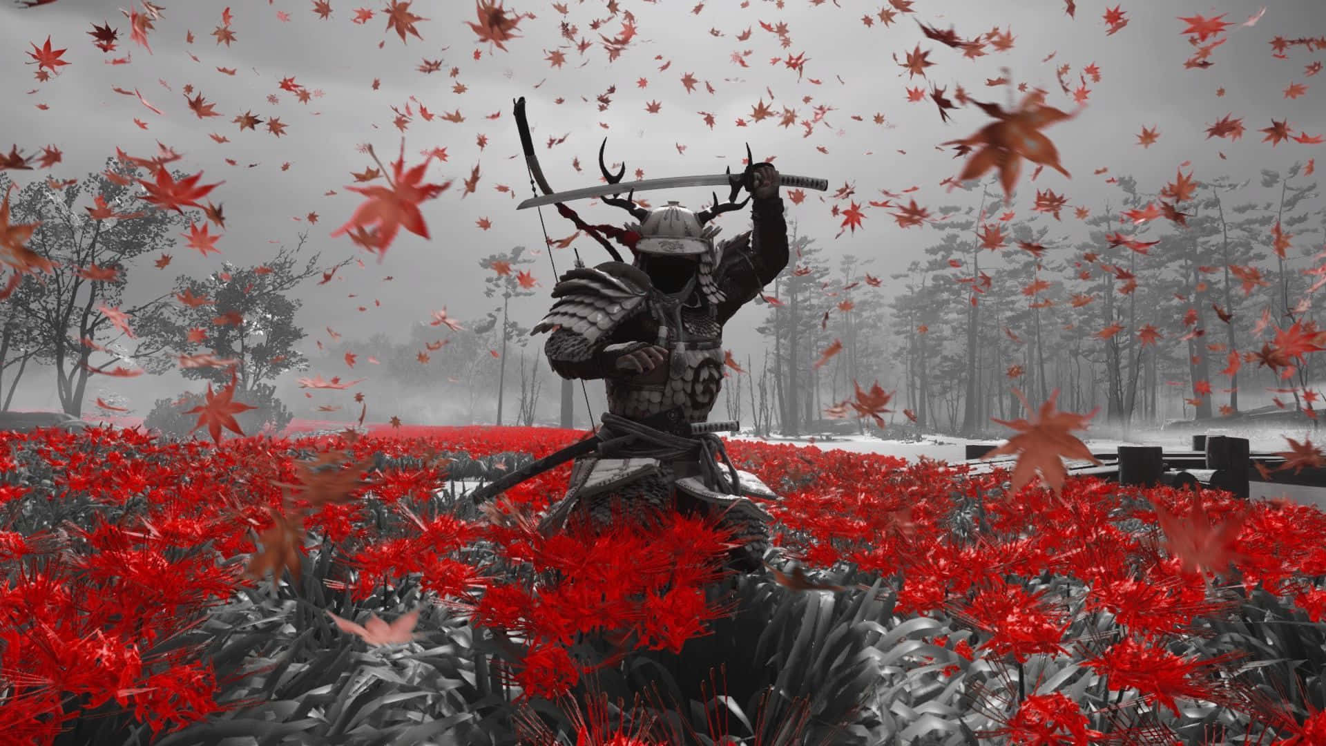 武士背景 壁紙
