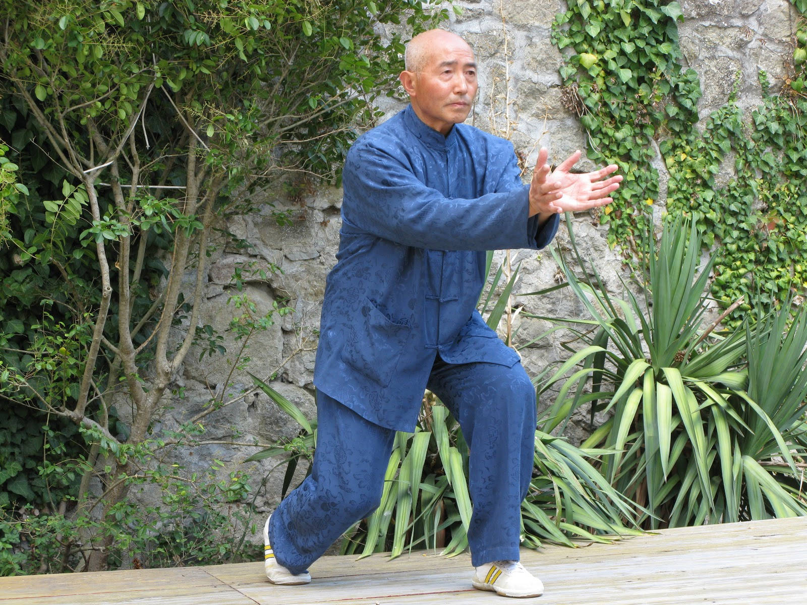 長者在花園環境中練習武術。