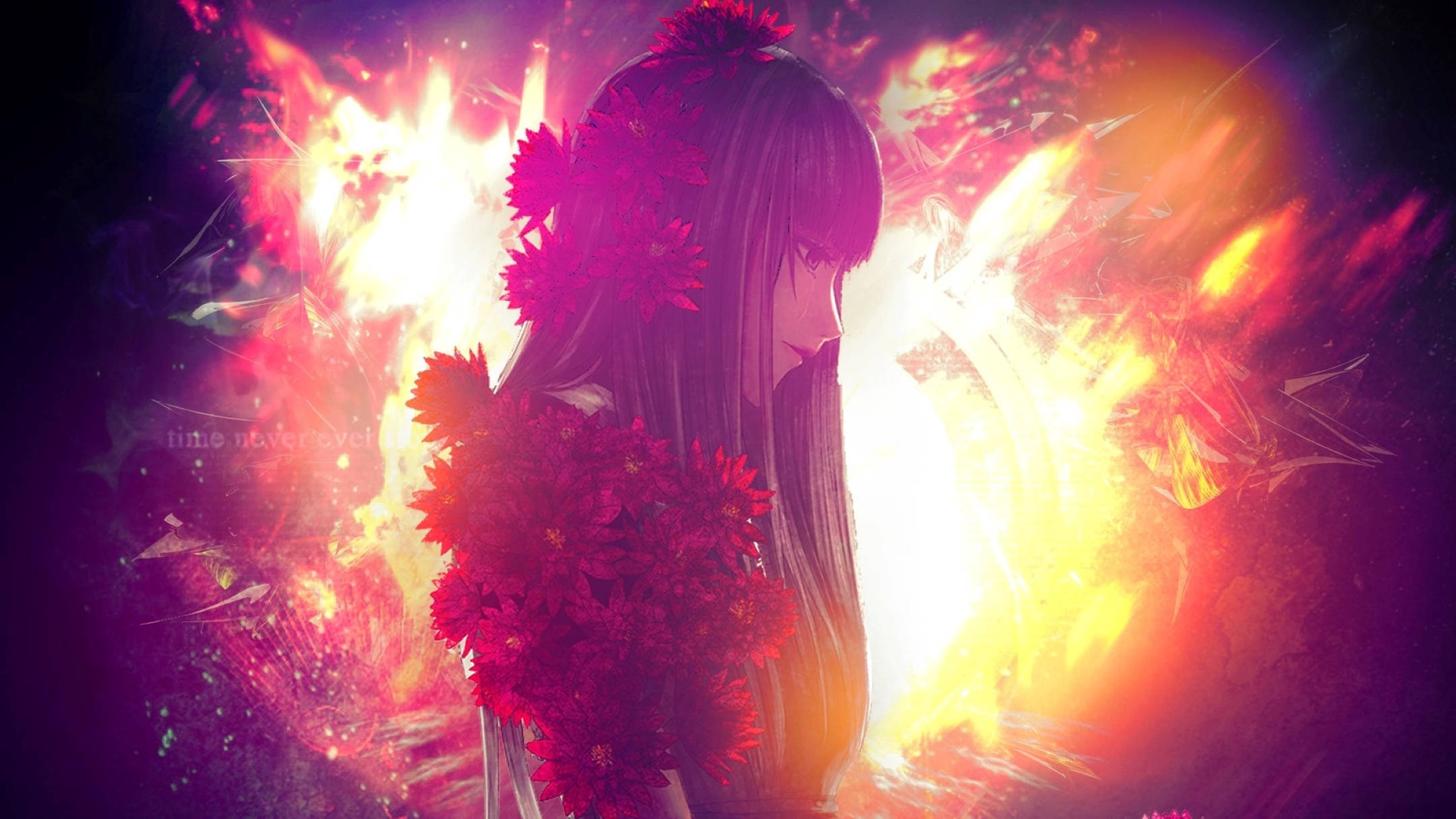 死亡審判場 花園姬 風化藝術 壁紙 — 一位黑髮動漫少女，飾以紅花，在熾熱的橙紫光芒中形成剪影。