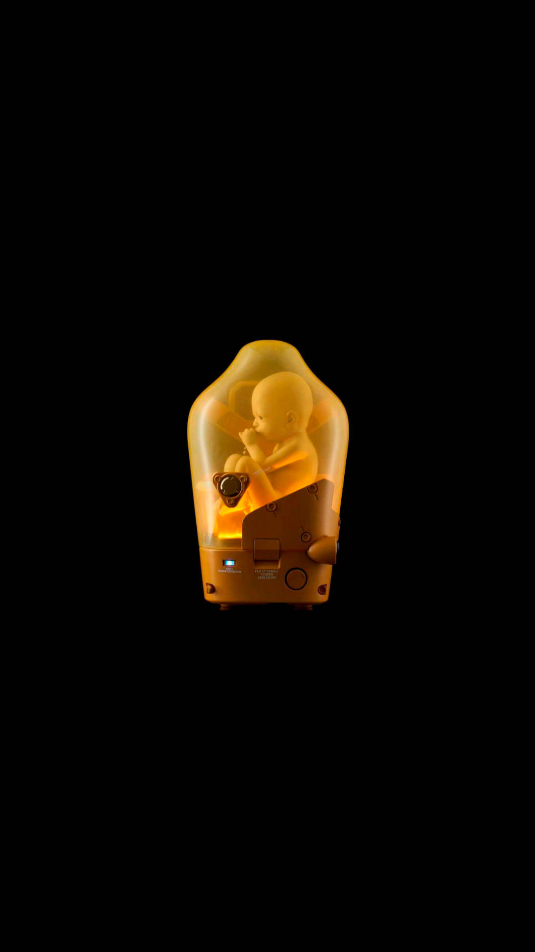 黑色背景上透明孵化器內發光的琥珀色胎兒模型。