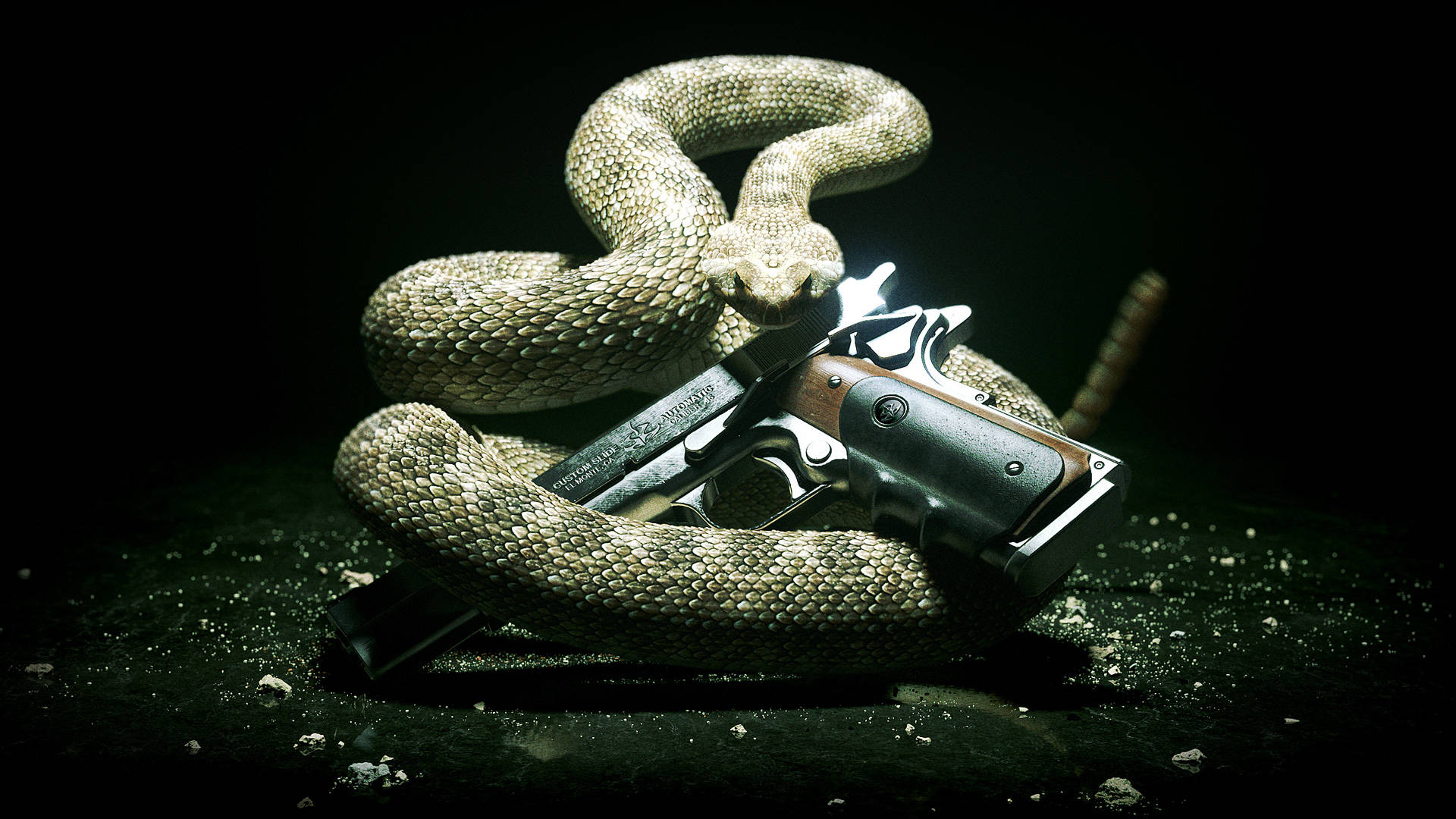 殺手槍械與蛇 壁紙 — 一條盤繞的響尾蛇纏繞著一把手槍，背景是黑暗粗糙的，帶有戲劇性的燈光。
