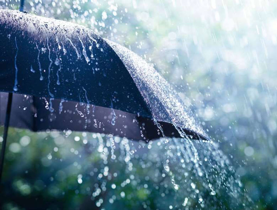 毀滅之風——宇宙奇觀 壁紙 — 一把深色雨傘在明亮模糊的綠色背景下滴著雨滴。