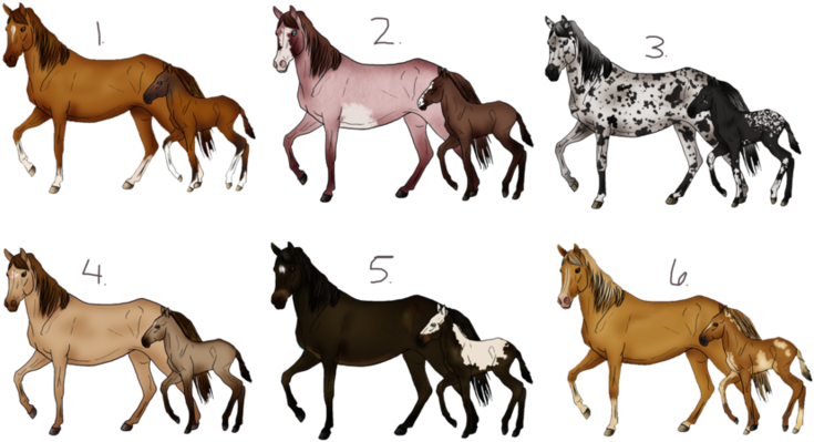 母馬與小馬種類 壁紙 — 六對插圖風格的馬媽媽和小馬駒，以各種毛色圖案在黑色背景上行走。