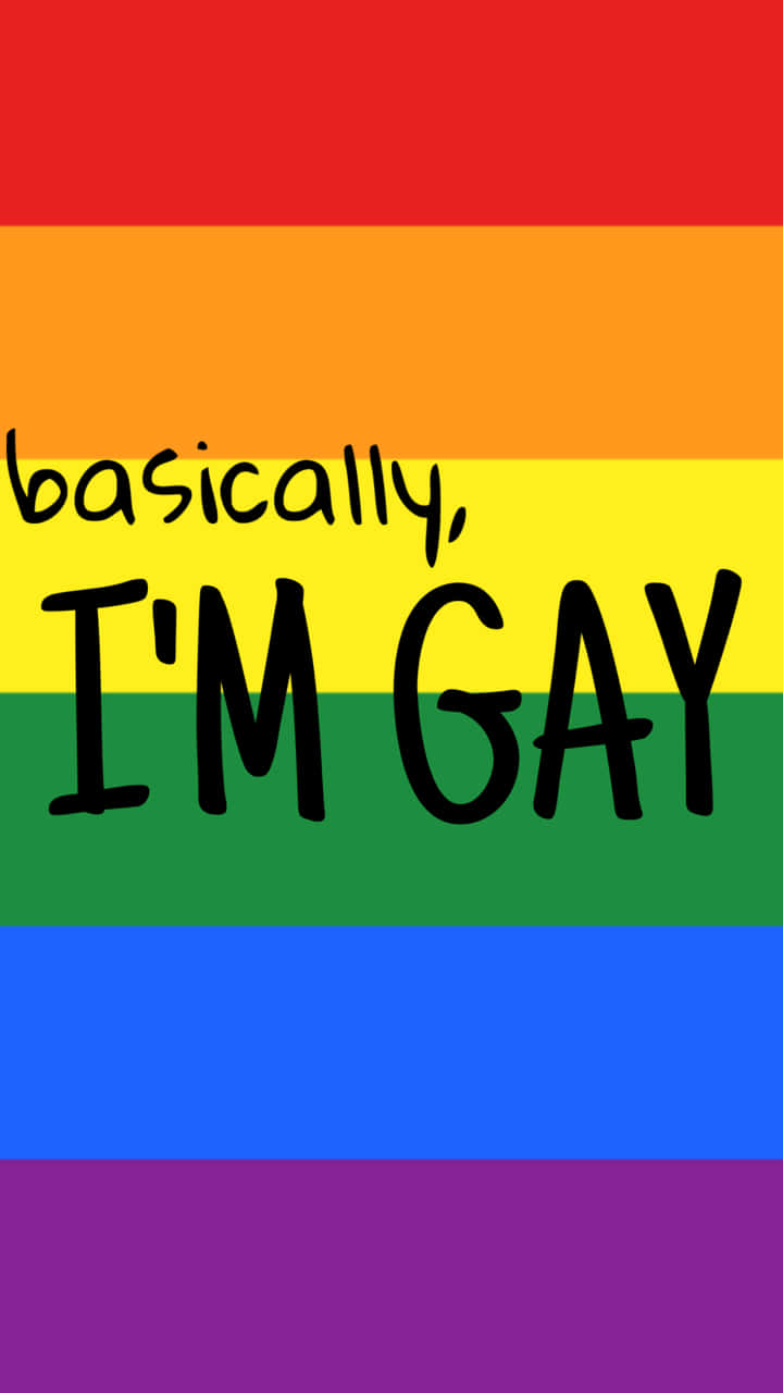 帶有 basically i'm gay 文字的彩虹旗