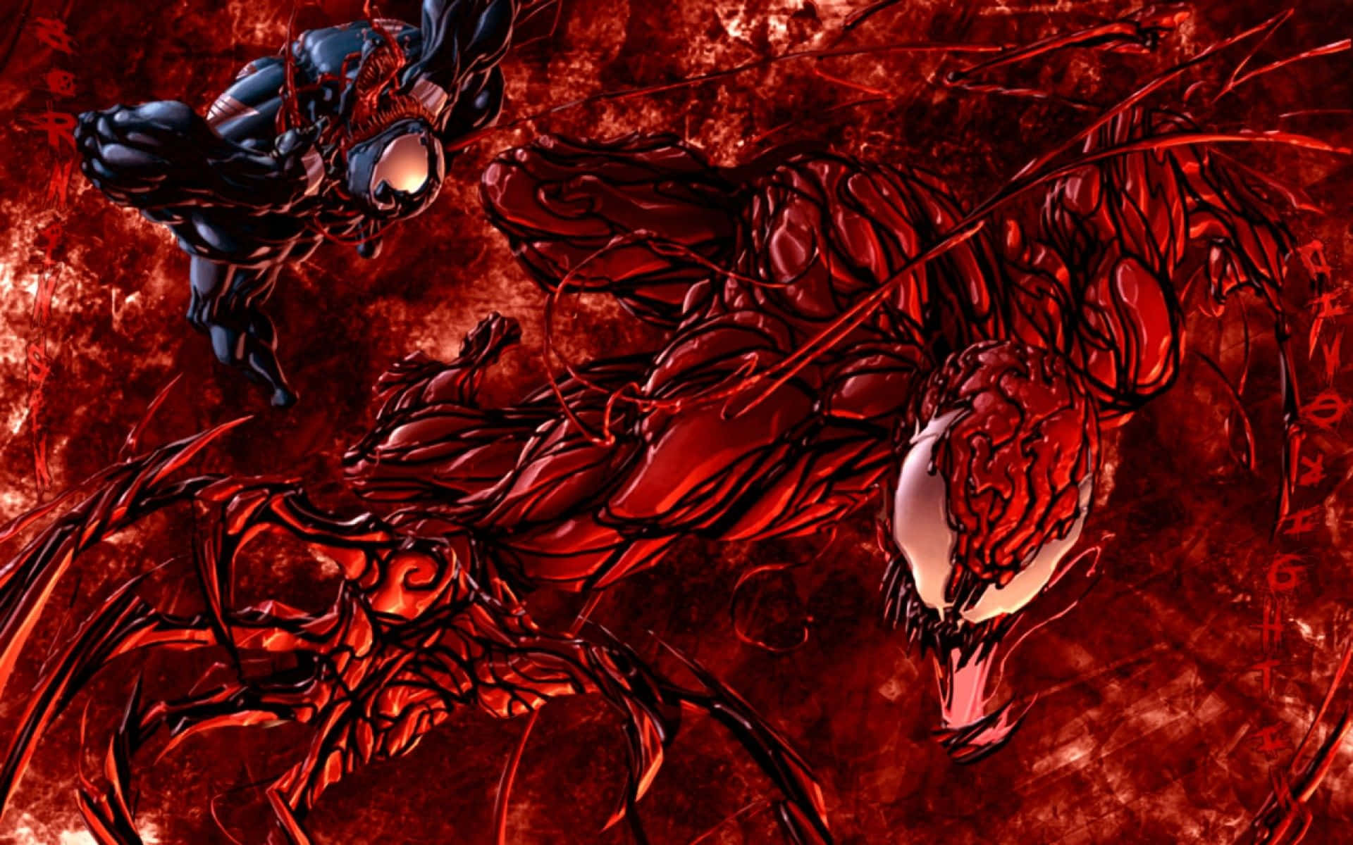 Carnage Vs Venom 桌布 壁紙 — 毒液與屠殺在血腥的紅色戰鬥中激烈衝突，利爪與發光的白色眼睛。