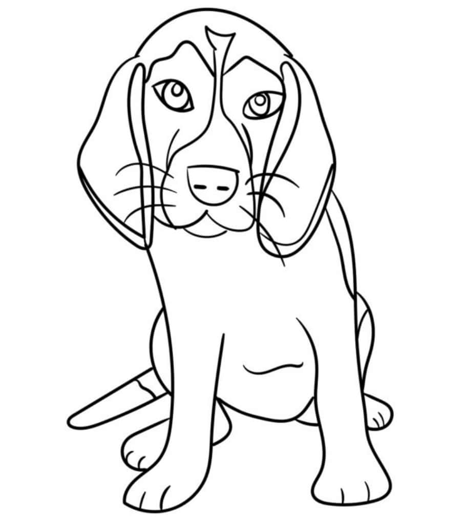 一隻可愛的比高犬幼犬坐著，有垂耳和大眼睛的線條畫。
