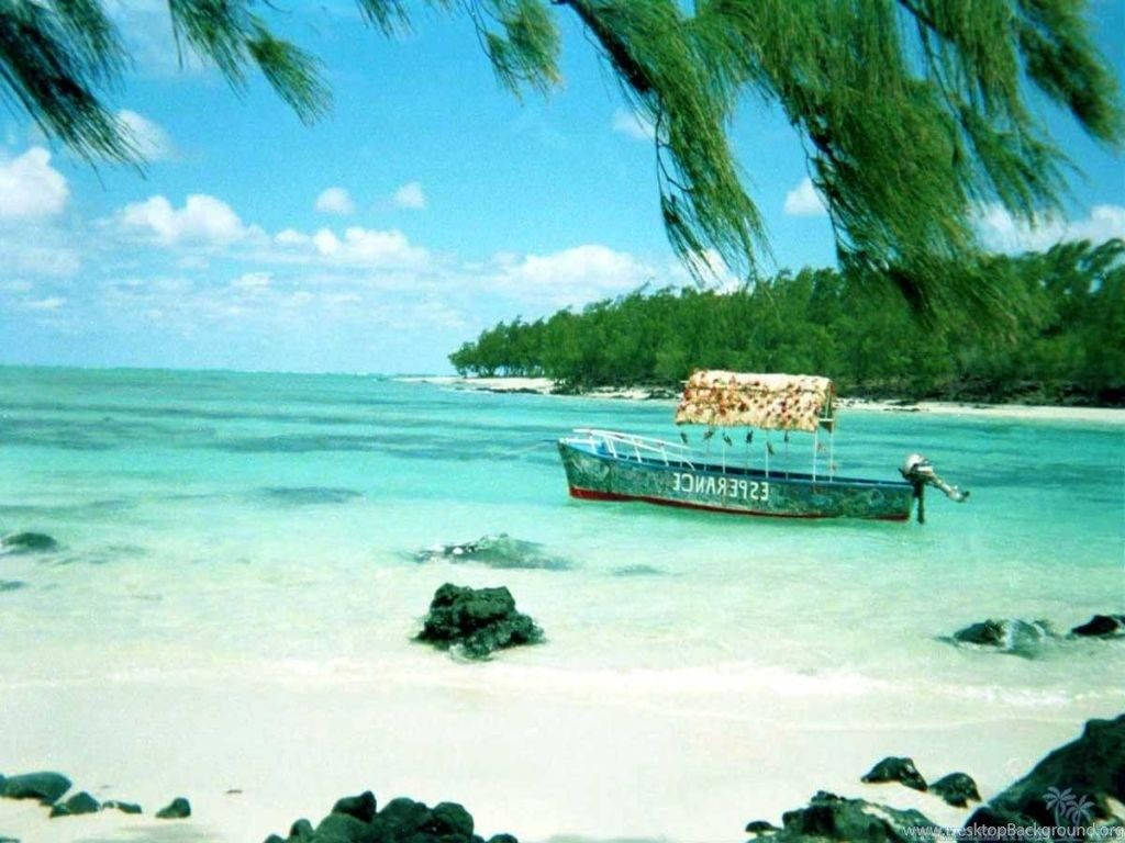 毛里求斯海上的老船 壁紙 — 一艘名為 'ESPERANCE' 的小船停泊在淺藍綠色水域，靠近被茂密綠色棕櫚葉環繞的白色沙灘。
