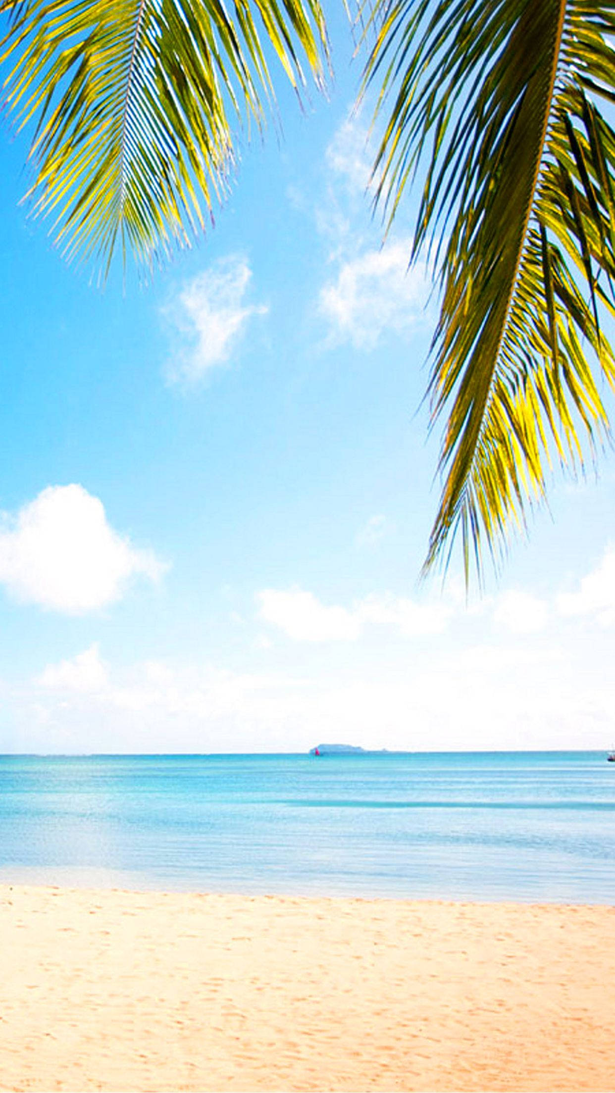 毛里求斯海灘風景 壁紙 — 棕櫚葉框住一片碧綠海洋，上方是明亮的藍天和蓬鬆的白雲。