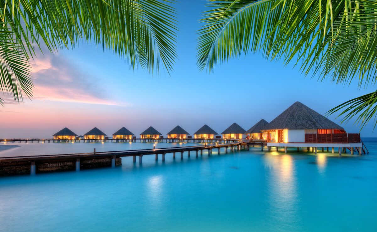 Maldives Island 桌布 壁紙 — 水上平房在黃昏時分溫暖地發光，被茂密的棕櫚葉框住，映襯著暮色天空。