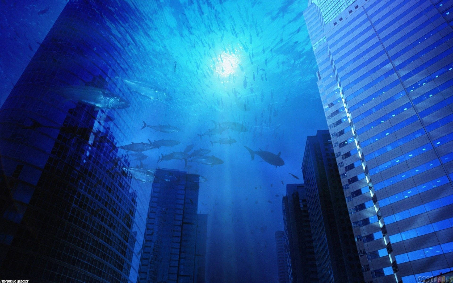 鯊魚和魚群在玻璃摩天大樓城市下的海水中滑行。