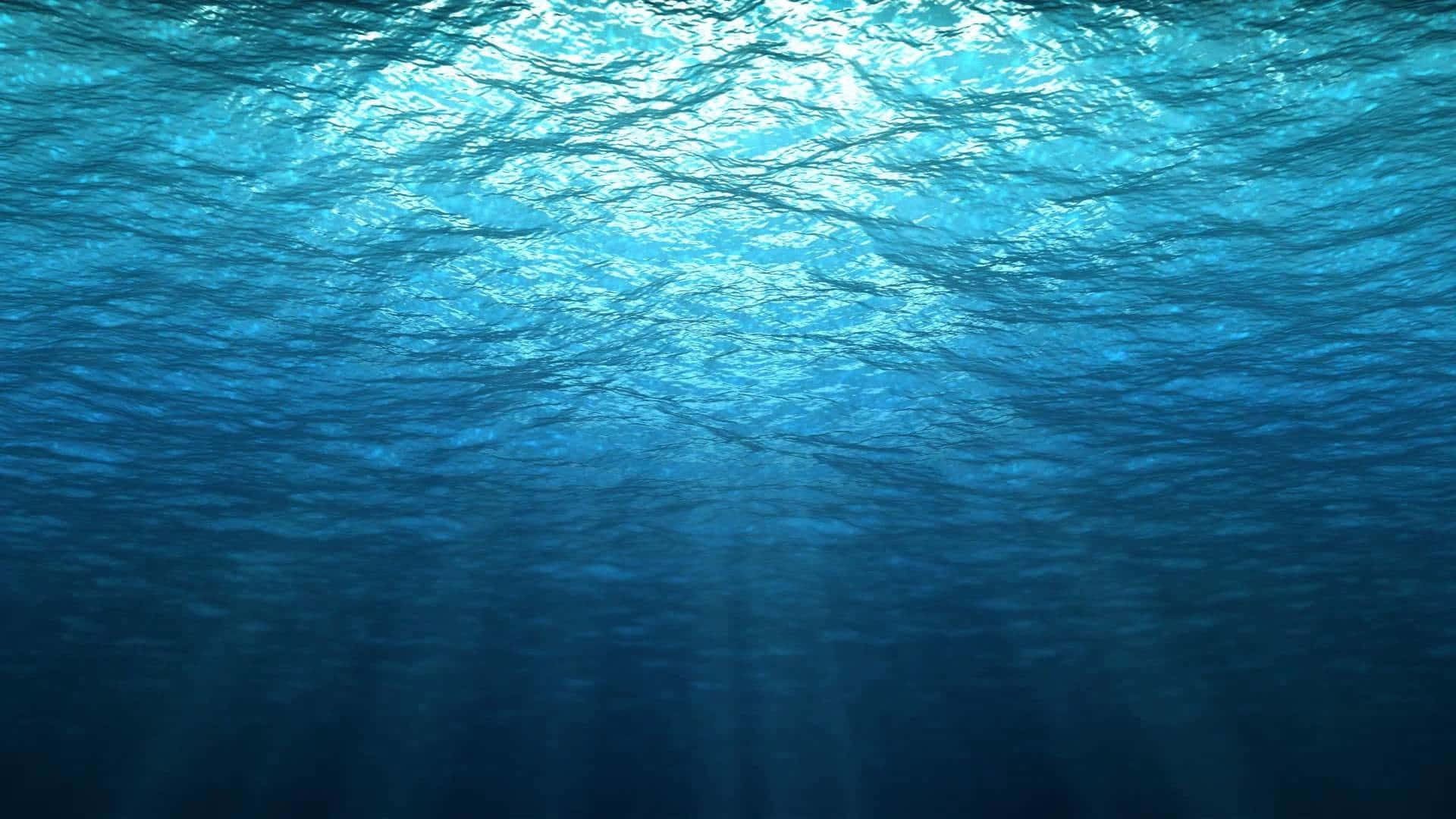 水下奇境正等待你探索 壁紙 — 陽光穿過漣漪的海面，將空靈的藍色光束投射到深水中。