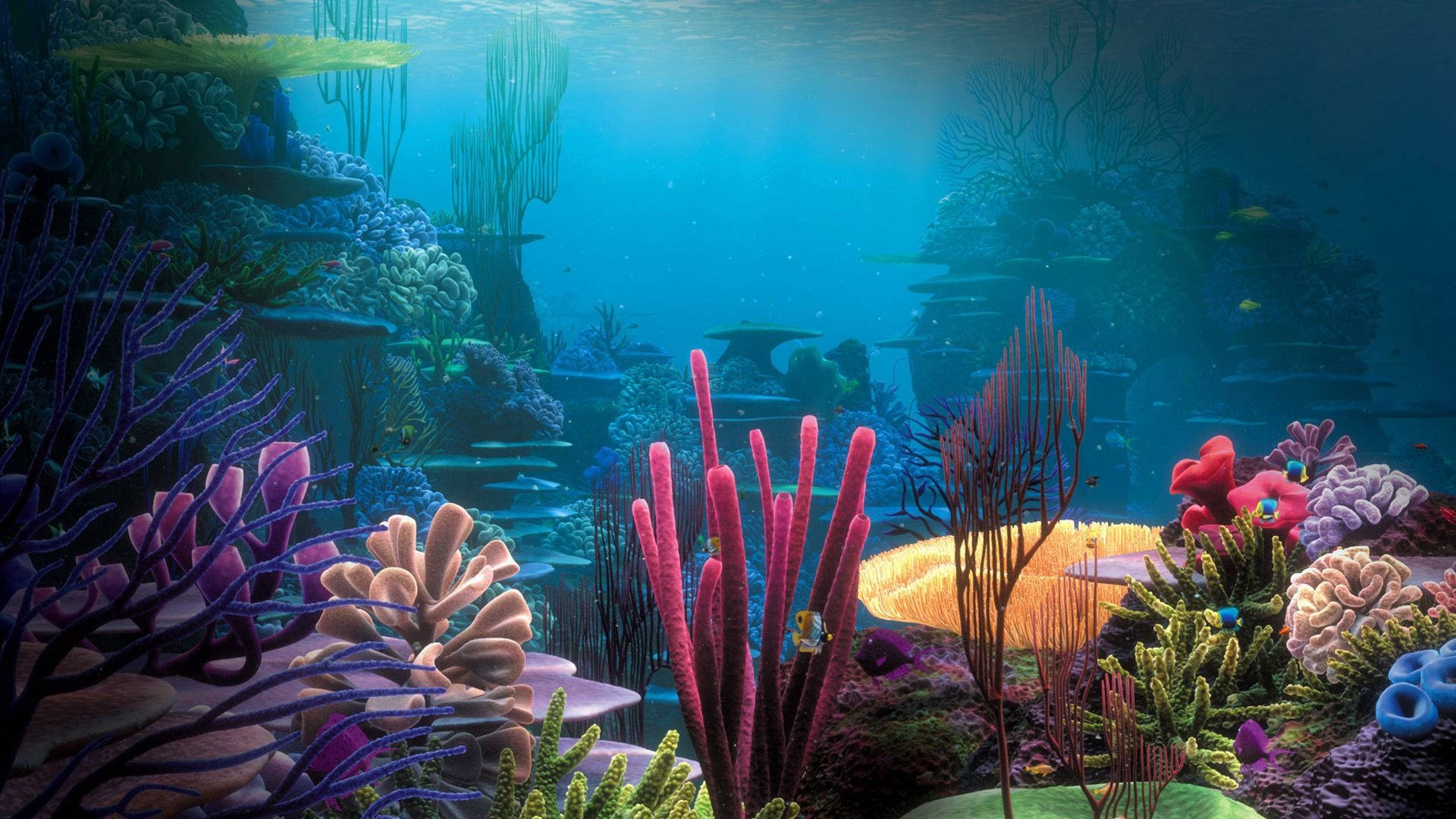 水下海洋水族館 壁紙 — 充滿色彩繽紛海洋生物的 vibrant 珊瑚礁，沐浴在藍色水下陽光中。