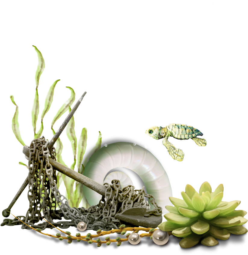 水下海洋生物場景 壁紙 — 一隻小海龜在一個有氣泡和綠色植物的水下場景中游過珊瑚鏈和一個白色輪胎。