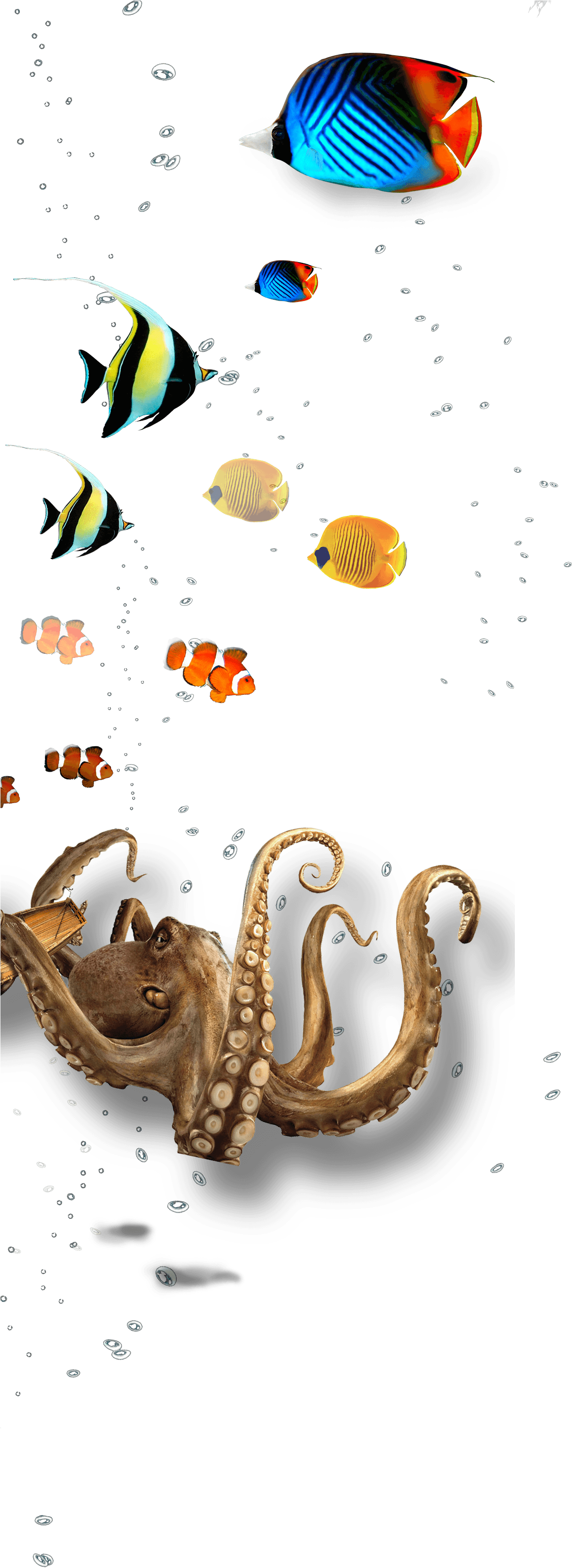 水下海洋生物拼貼畫 壁紙 — 一隻充滿活力的八爪魚和色彩繽紛的熱帶魚在黑暗的水中游動，氣泡不斷上升。
