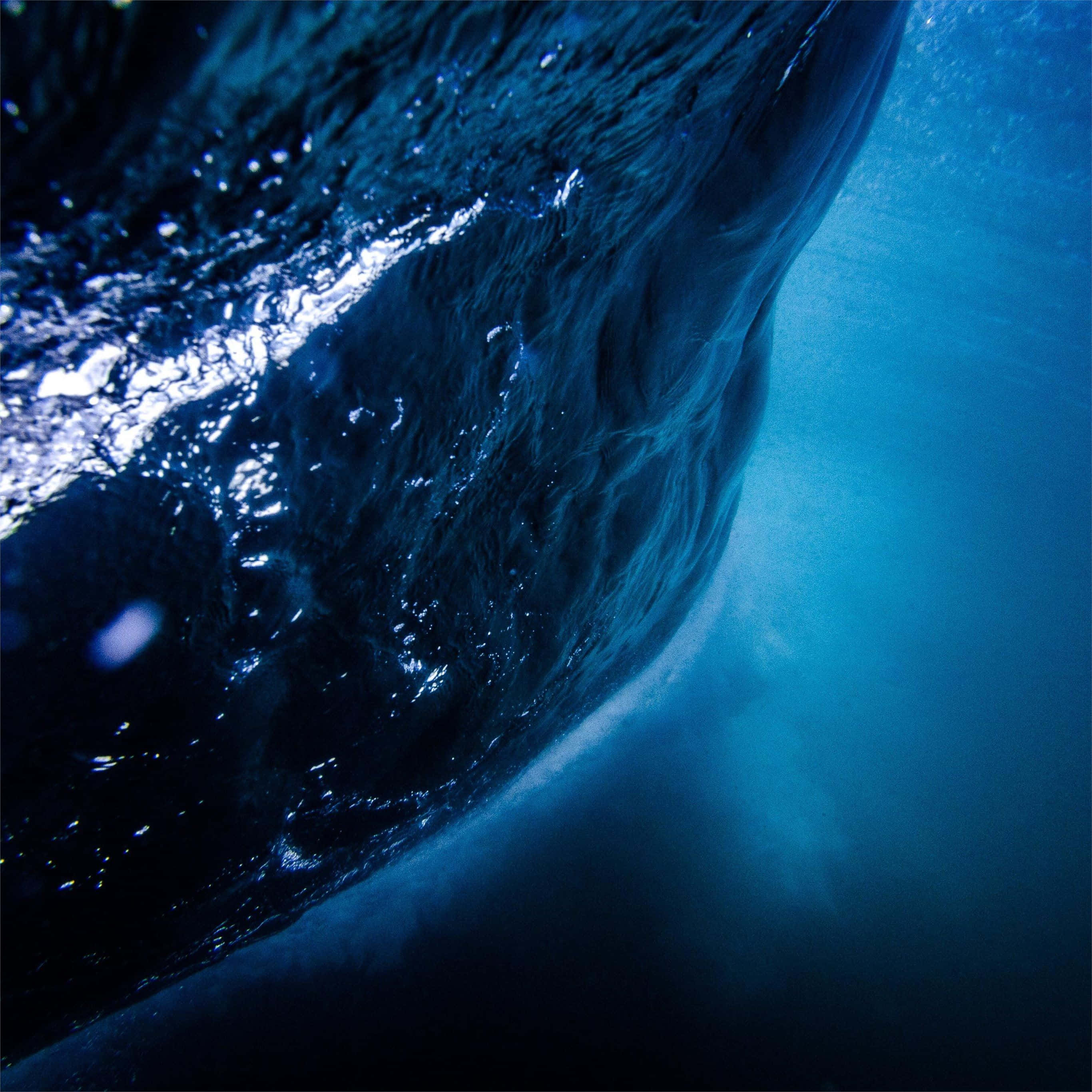 水下海洋生物風景 壁紙 — 一個戲劇性的水下視角，巨大的海浪在頭頂捲曲，陽光照耀的藍色海水和黑暗的波峰。