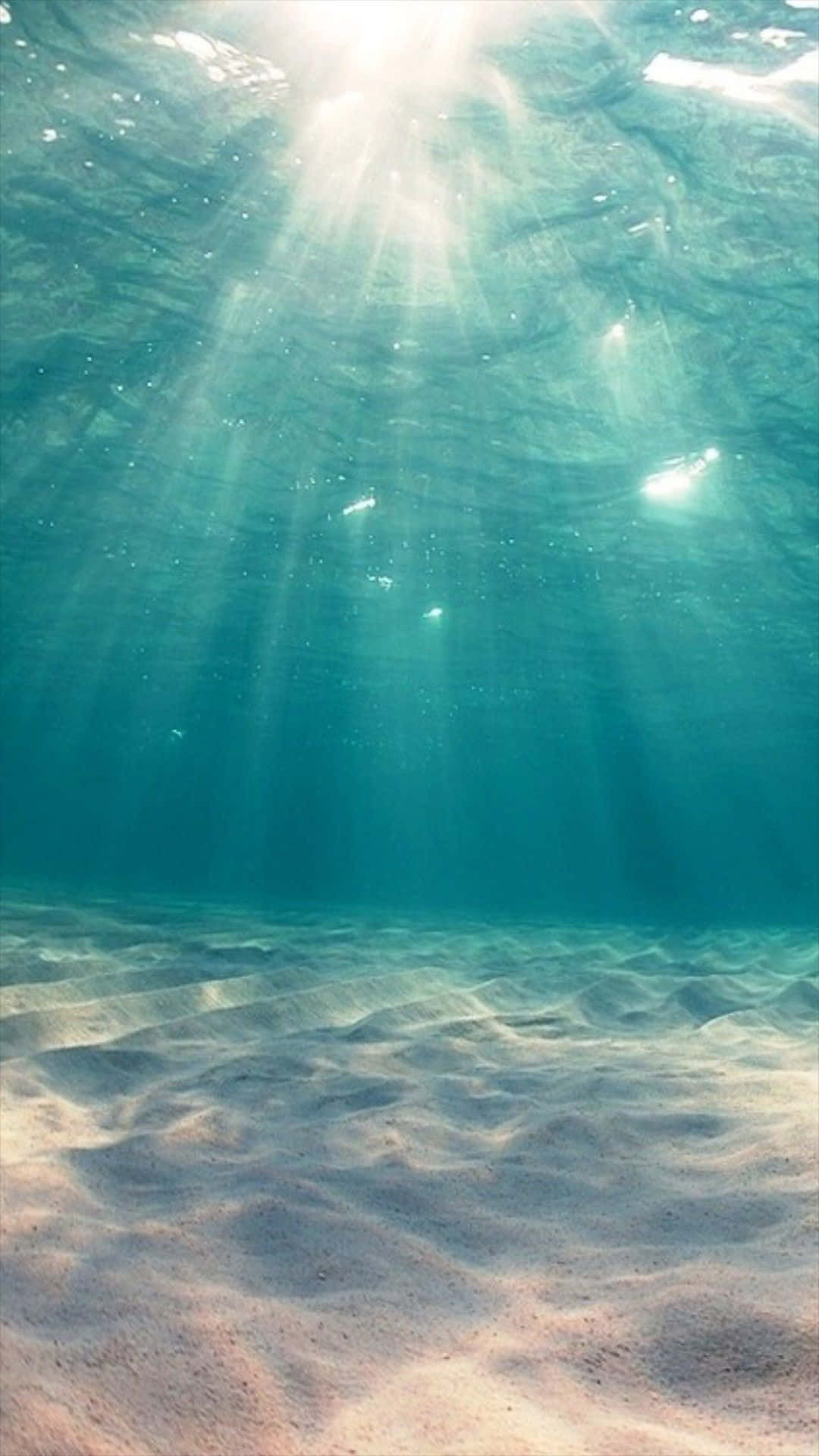 陽光穿過清澈的海水照射在沙質海床上。