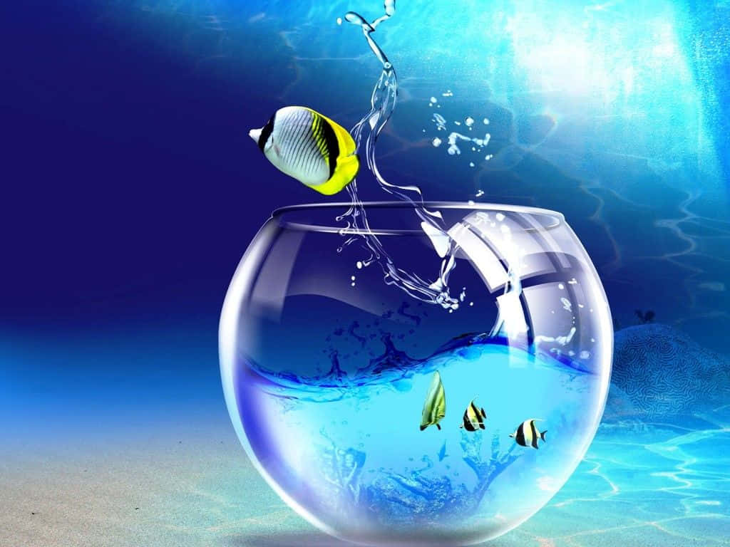 蝴蝶魚從魚缸跳進海洋，水花和珊瑚