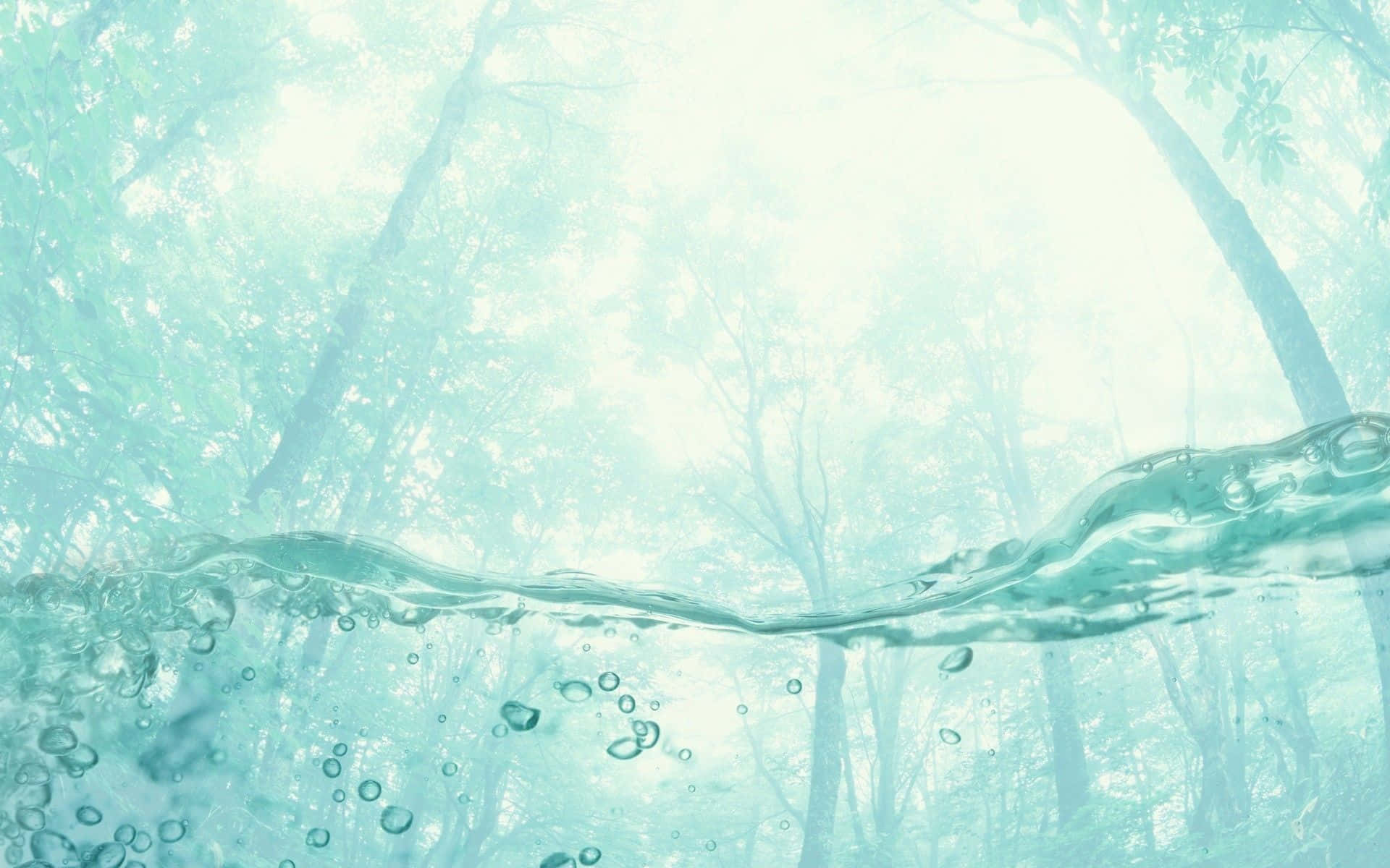 水下森林場景，氣泡向陽光照耀的樹木上升。