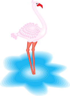 水中的粉紅火烈鳥 壁紙