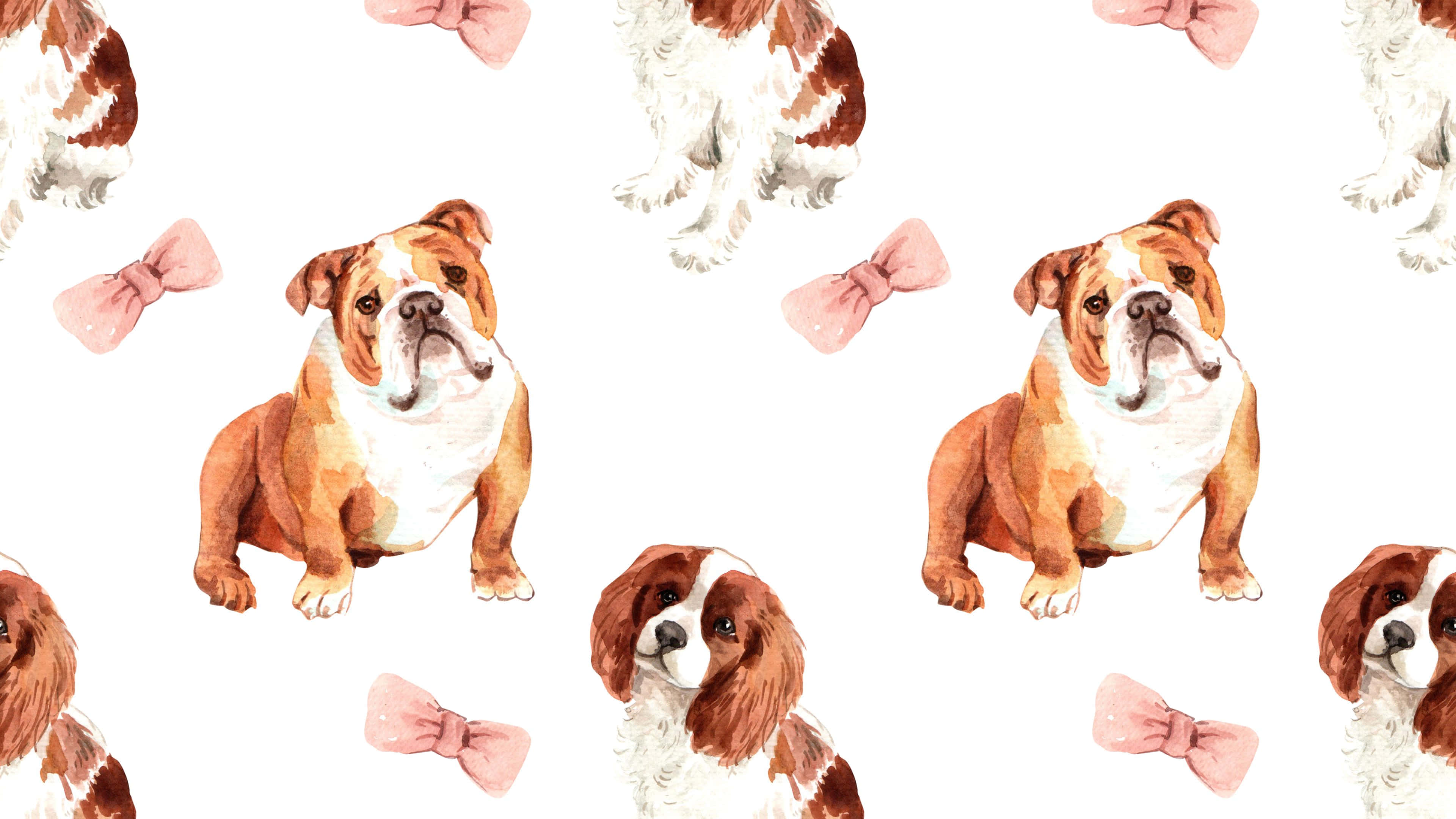 cute dogs 桌布 壁紙 — 水彩圖案，鬥牛犬和西班牙獵犬戴著粉紅色蝴蝶結，背景為純白色。