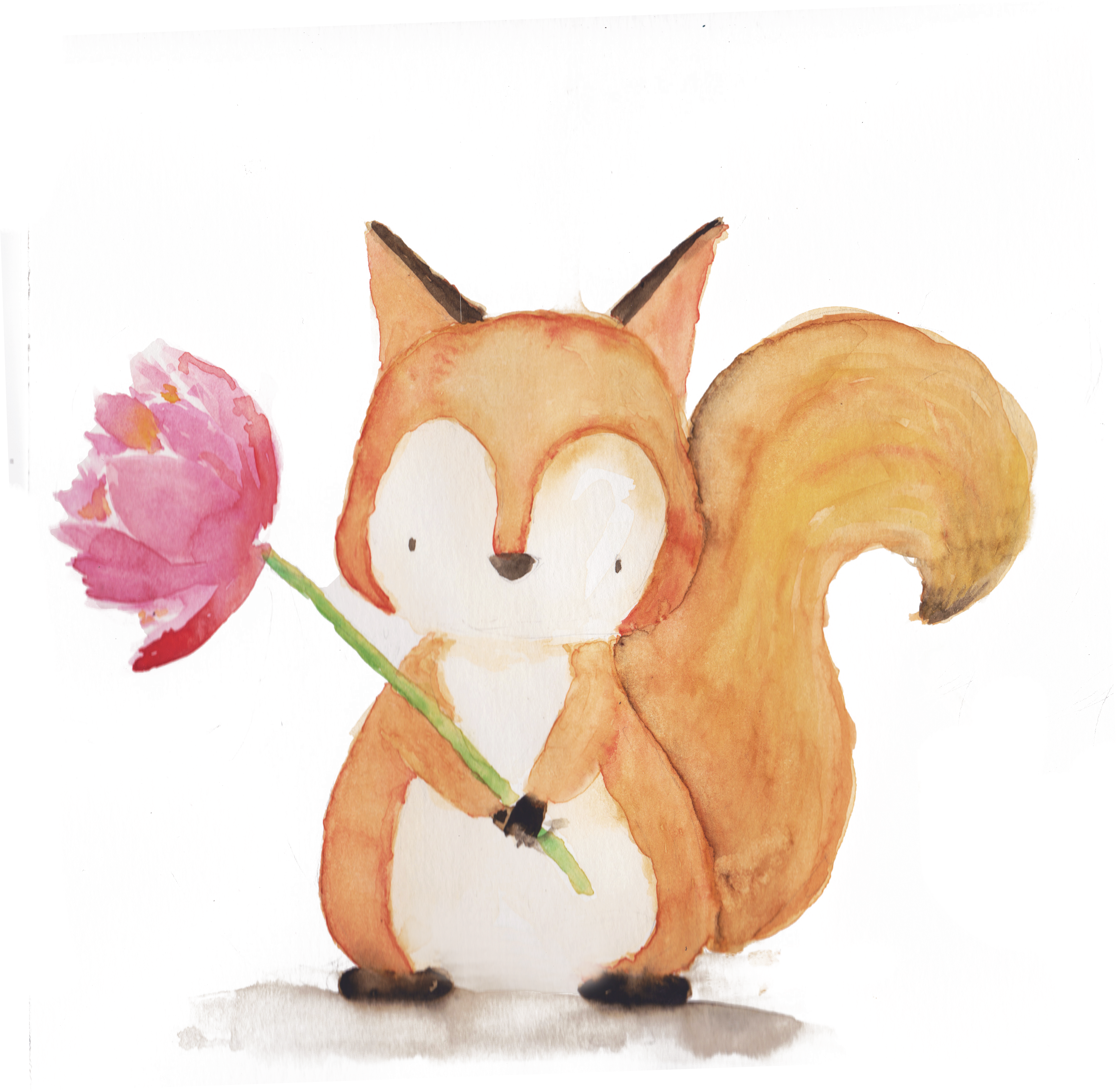水彩松鼠持花 壁紙 — 一幅水彩插圖，描繪一隻可愛的橙色狐狸拿著一朵粉紅色的花，背景是帶有紋理的黑白色。