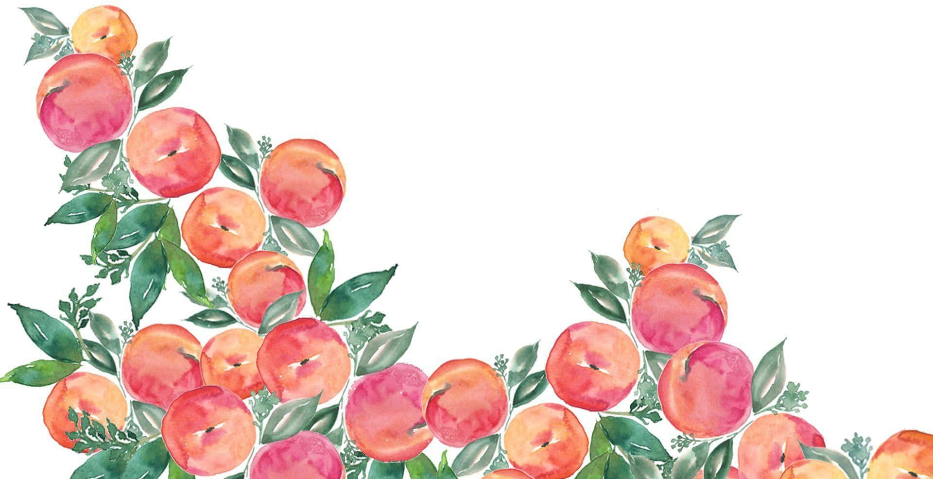 水彩桃花插畫 壁紙