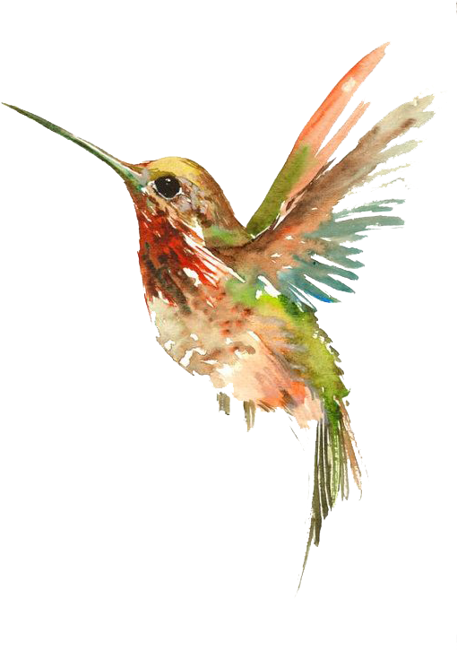 水彩蜂鳥藝術作品 壁紙