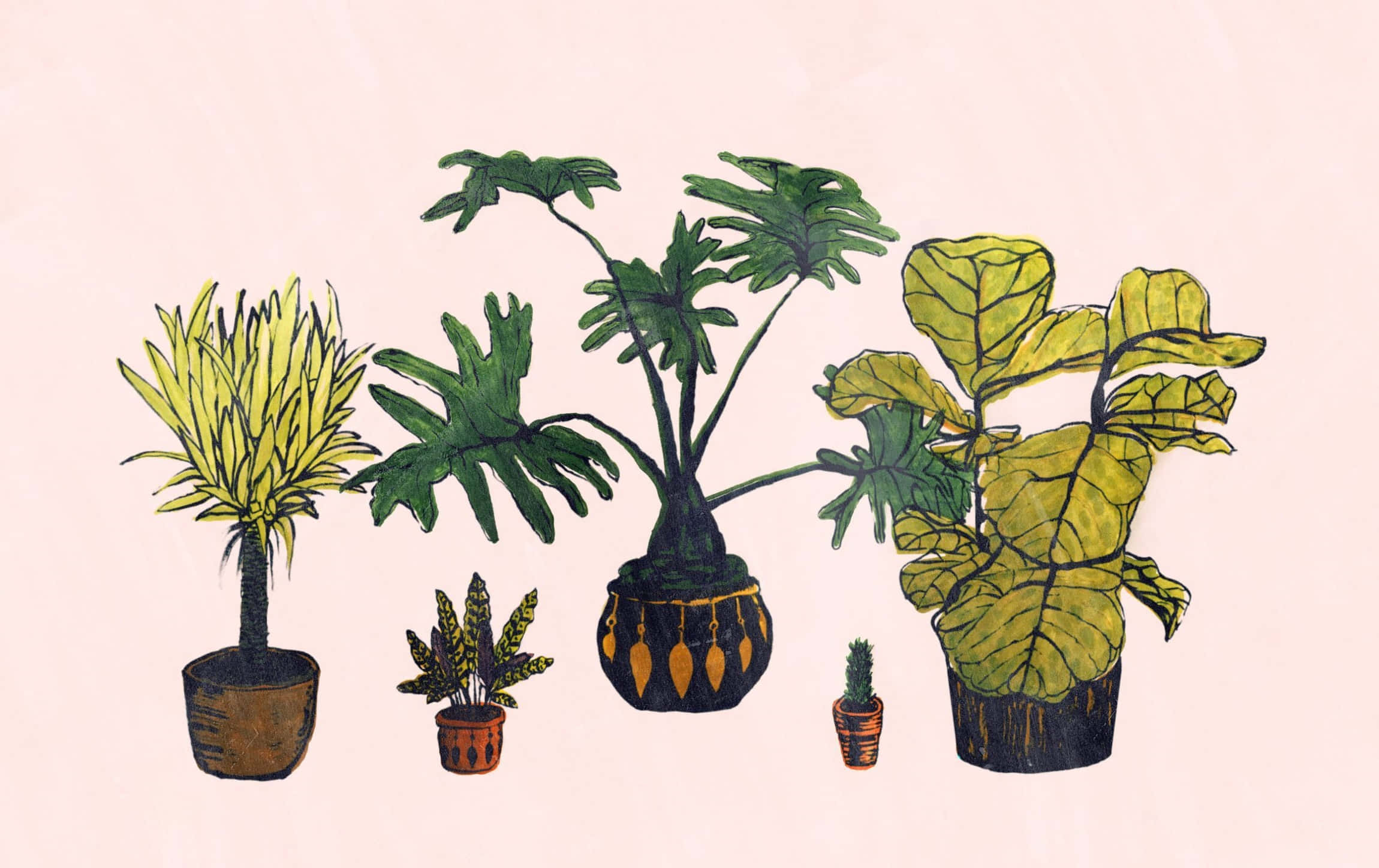 水彩風格簡約綠植桌面 壁紙 — 五個插圖盆栽植物，葉形各異，陶土花盆，排列在柔和的粉紅色背景上。