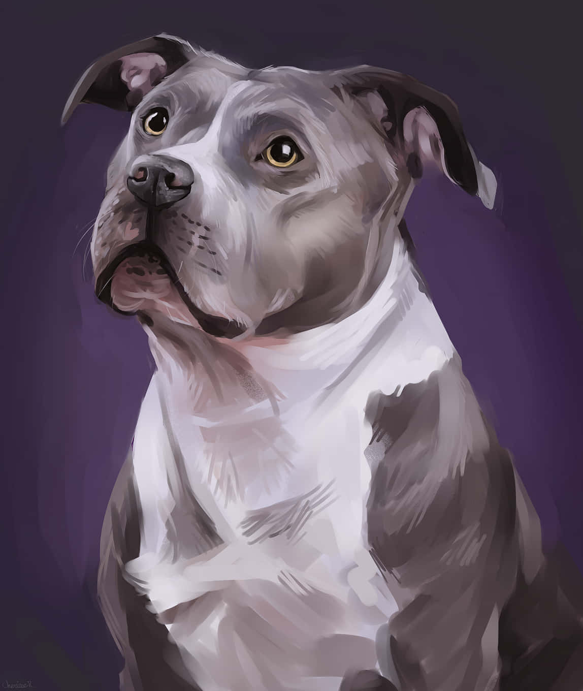 水彩風格鬥牛犬圖 壁紙 — 一隻灰色比特犬，金色眼睛，在深紫色背景上向上凝視，呈現繪畫風格的數位肖像。