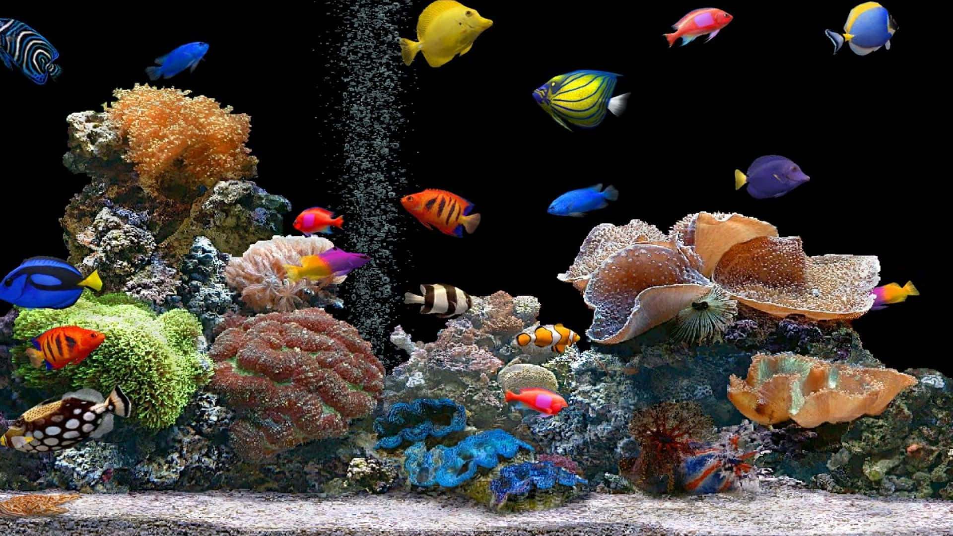 黑暗水族館中色彩繽紛的熱帶魚和珊瑚，氣泡上升。