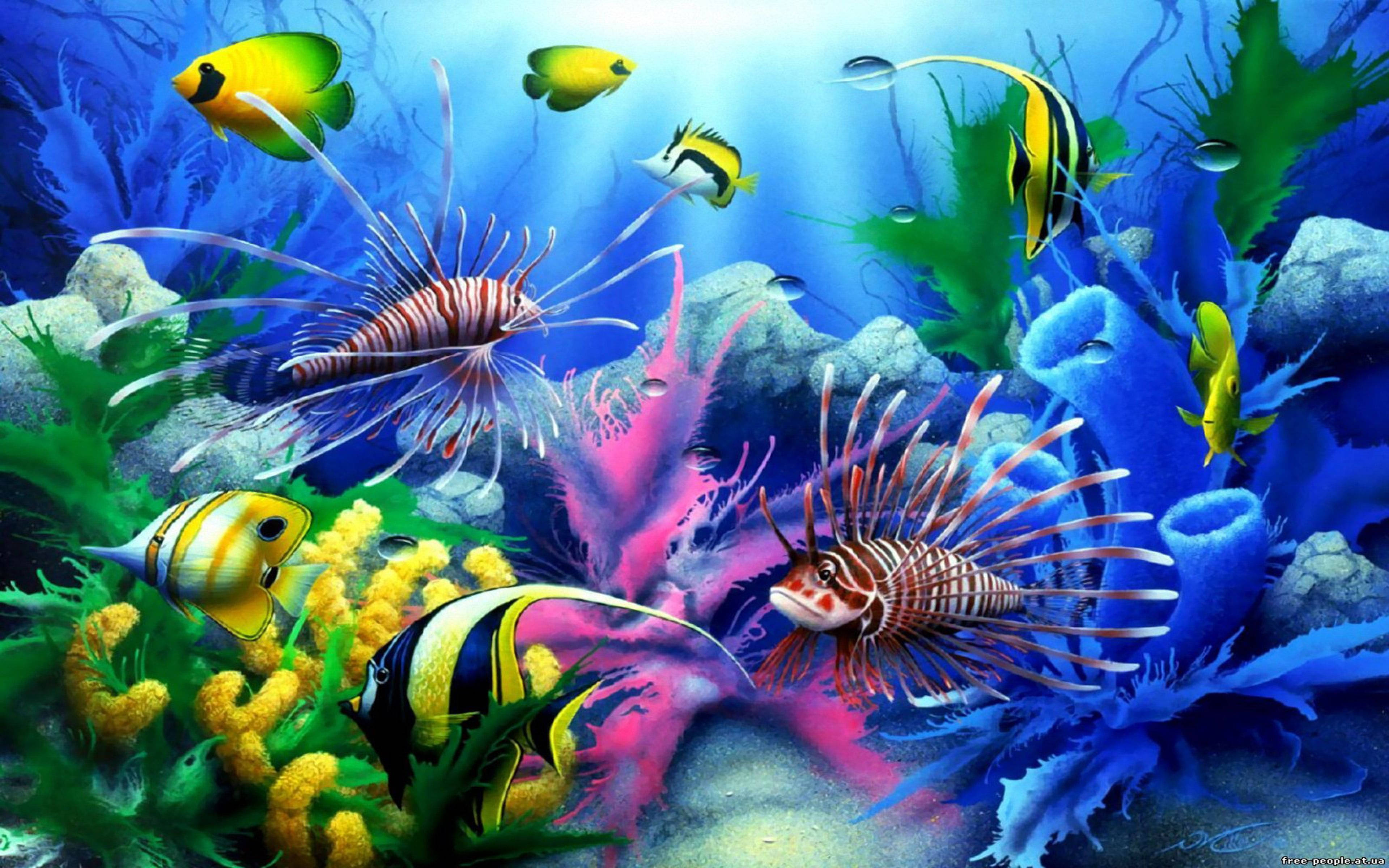 水族館酷魚 壁紙 — 色彩繽紛的熱帶魚在色彩斑斕的珊瑚和海草間游動，構成生動的海底場景。