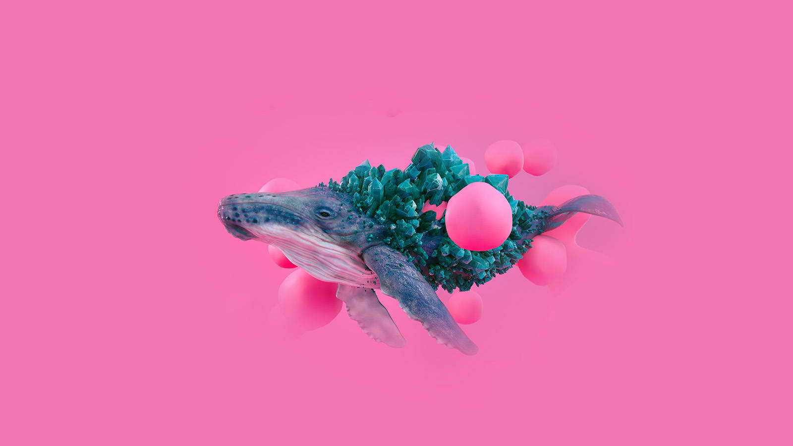 水晶藍鯨美學藝術桌面壁紙 壁紙 — 一條超現實的鯨魚，擁有水晶般的藍綠色背部，漂浮的粉紅色球體，在純粉紅色背景中游動。