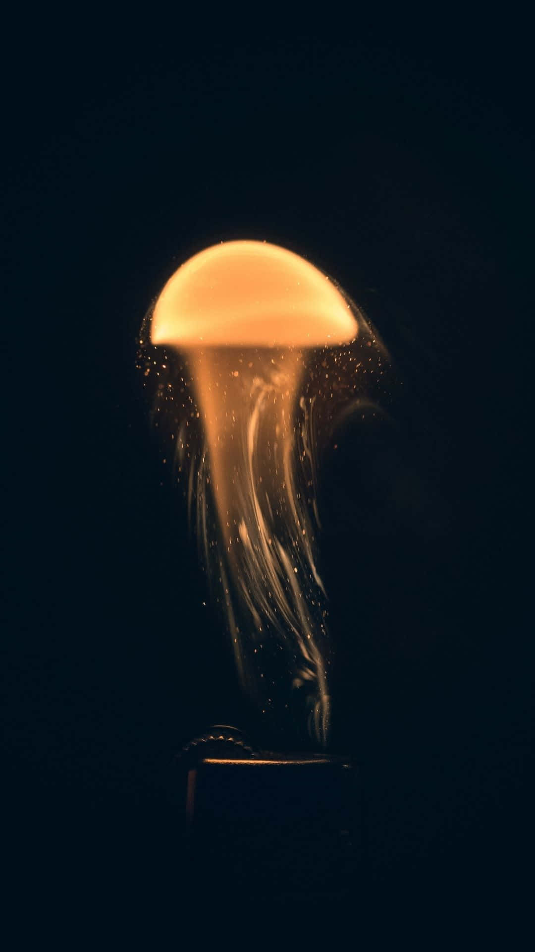 水母背景 壁紙