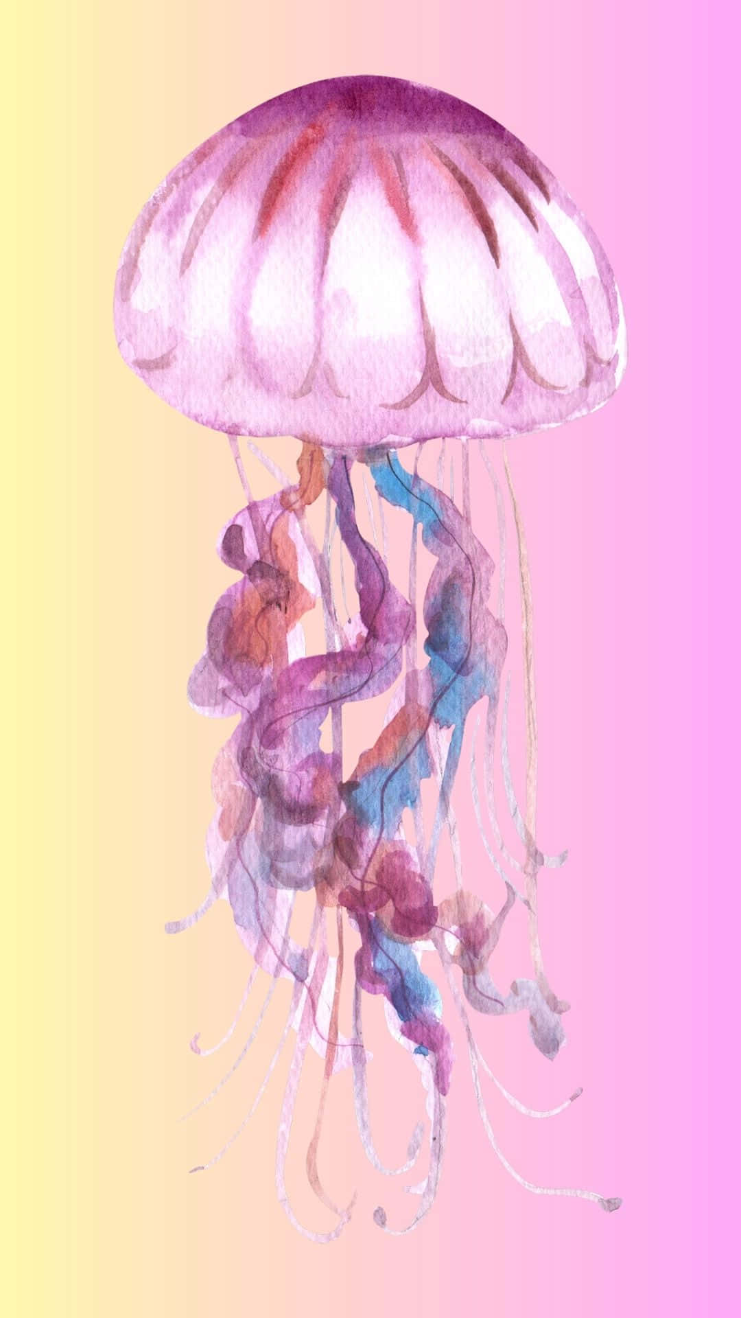 水母背景 壁紙