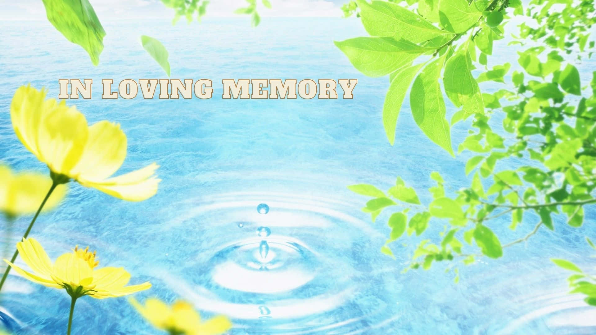 水滴「在愛中永記」背景 壁紙 — 平靜的藍色水面，水滴落下泛起漣漪，周圍環繞著鮮綠的葉子和黃色花朵，並有文字紀念所愛的人。