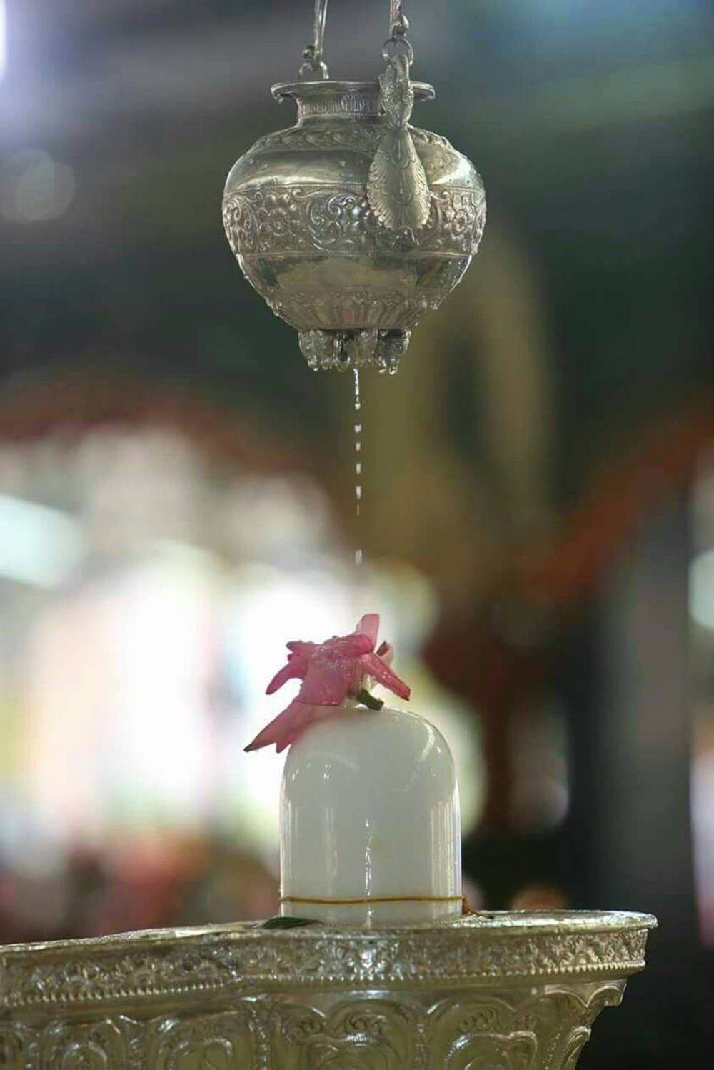 銀色容器滴水到白色圓頂上，有粉紅花