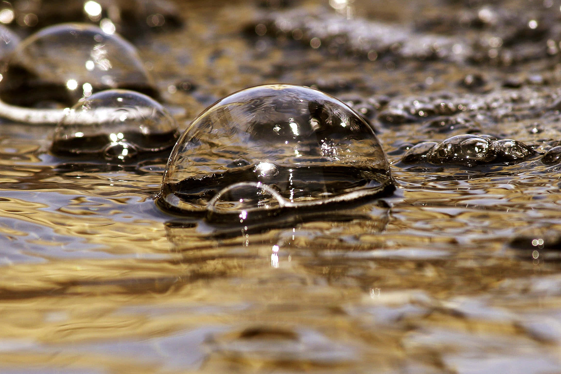 水面泡泡背景 壁紙 — 閃閃發光的肥皂泡在帶有柔和漣漪和光反射的金色水面上輕輕漂浮。