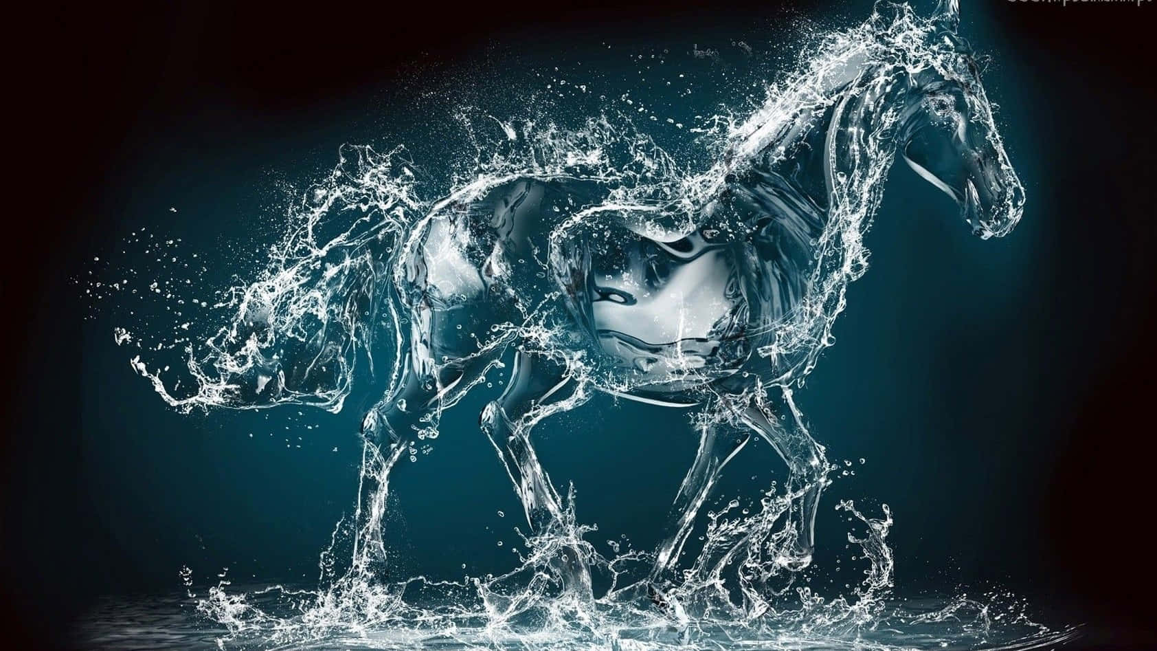 一匹由水組成的馬在深藍色背景上飛濺運動。