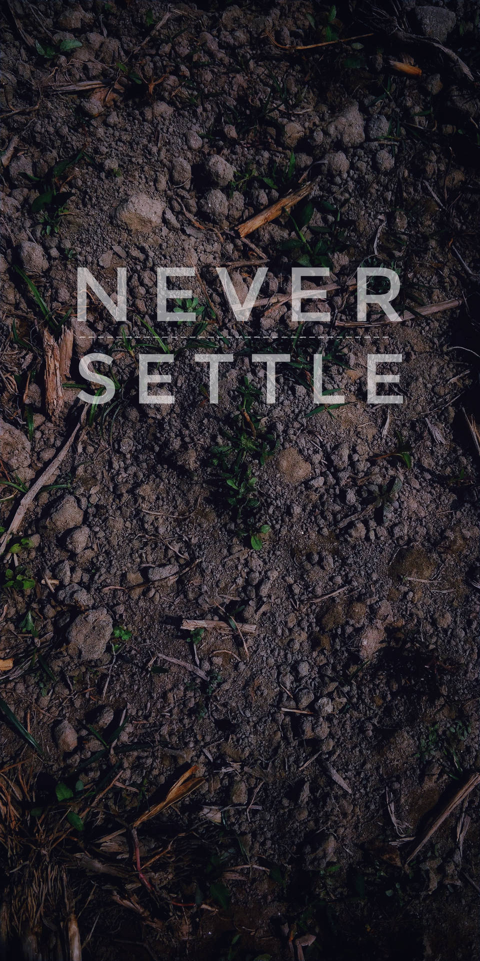勵志文字 never settle 在帶有樹枝和嫩芽的深色泥土上。