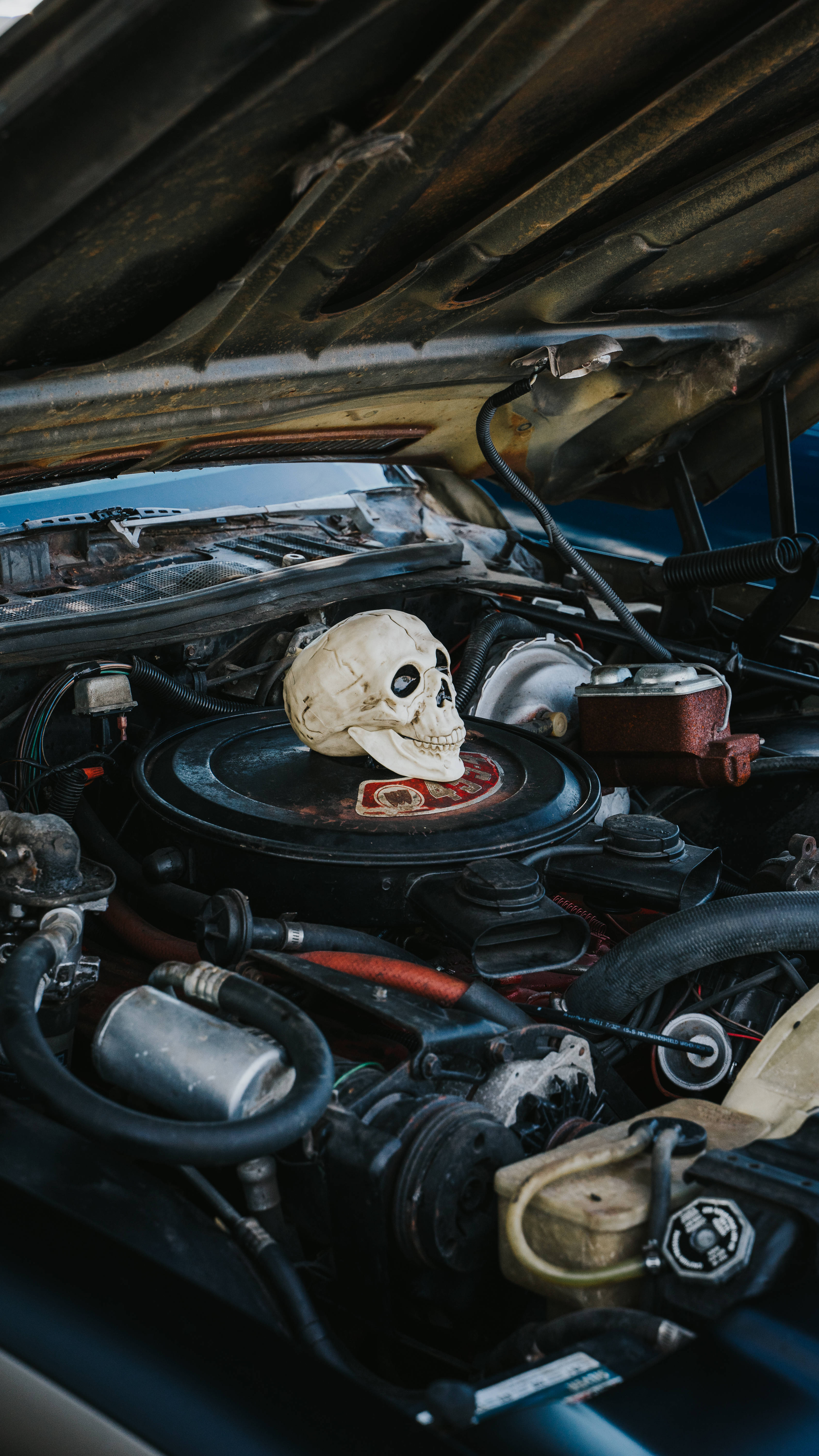 汽車引擎蓋下的恐懼骷髏 壁紙 — 一個風化的頭骨擱在一輛生鏽的經典汽車打開的引擎蓋下的灰塵引擎上。