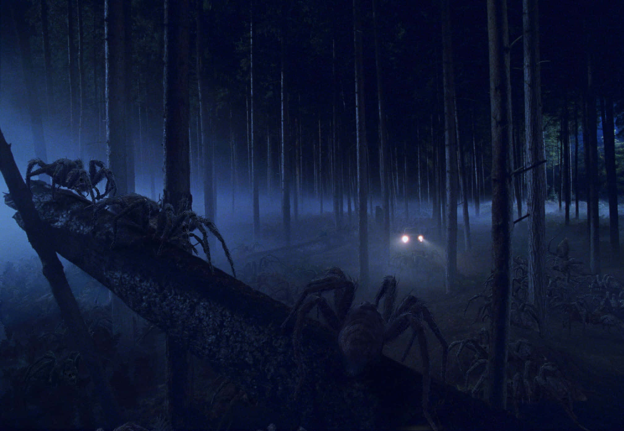 The Forbidden Forest 桌布 壁紙 — 汽車頭燈穿透霧夜，在一個被巨型蜘蛛佔據的森林中。