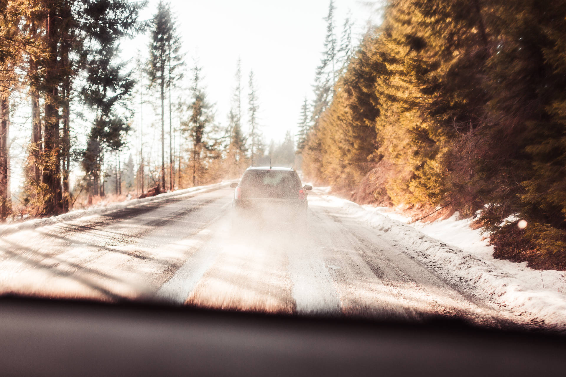 日出時在雪地森林道路上行駛的汽車