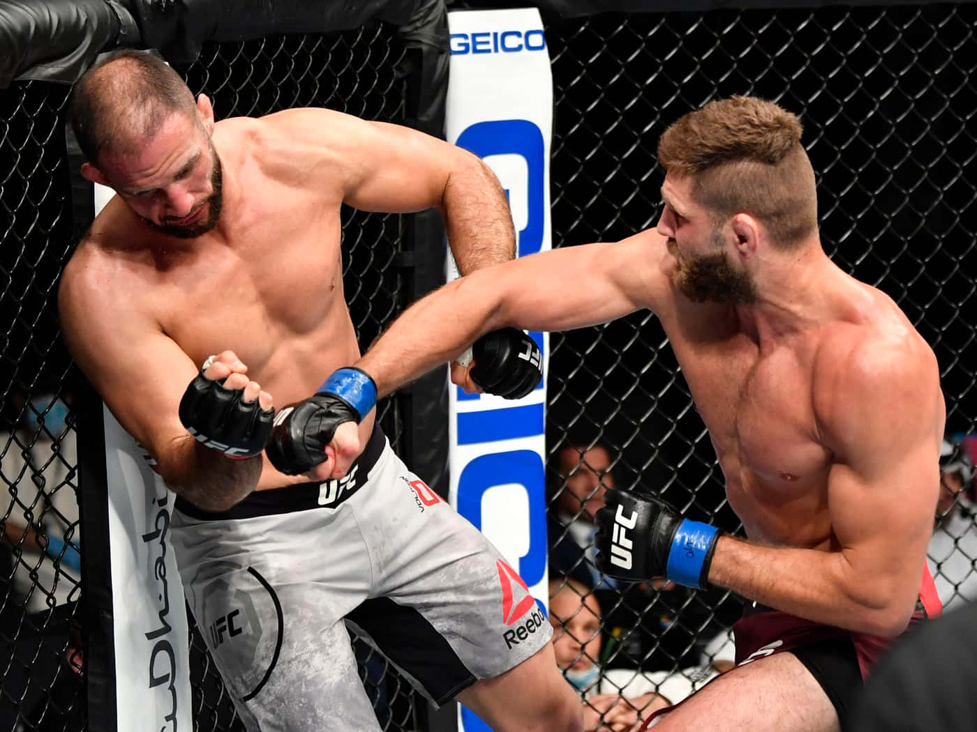 兩名戴著MMA手套的男性拳手在八角籠內互相出拳。