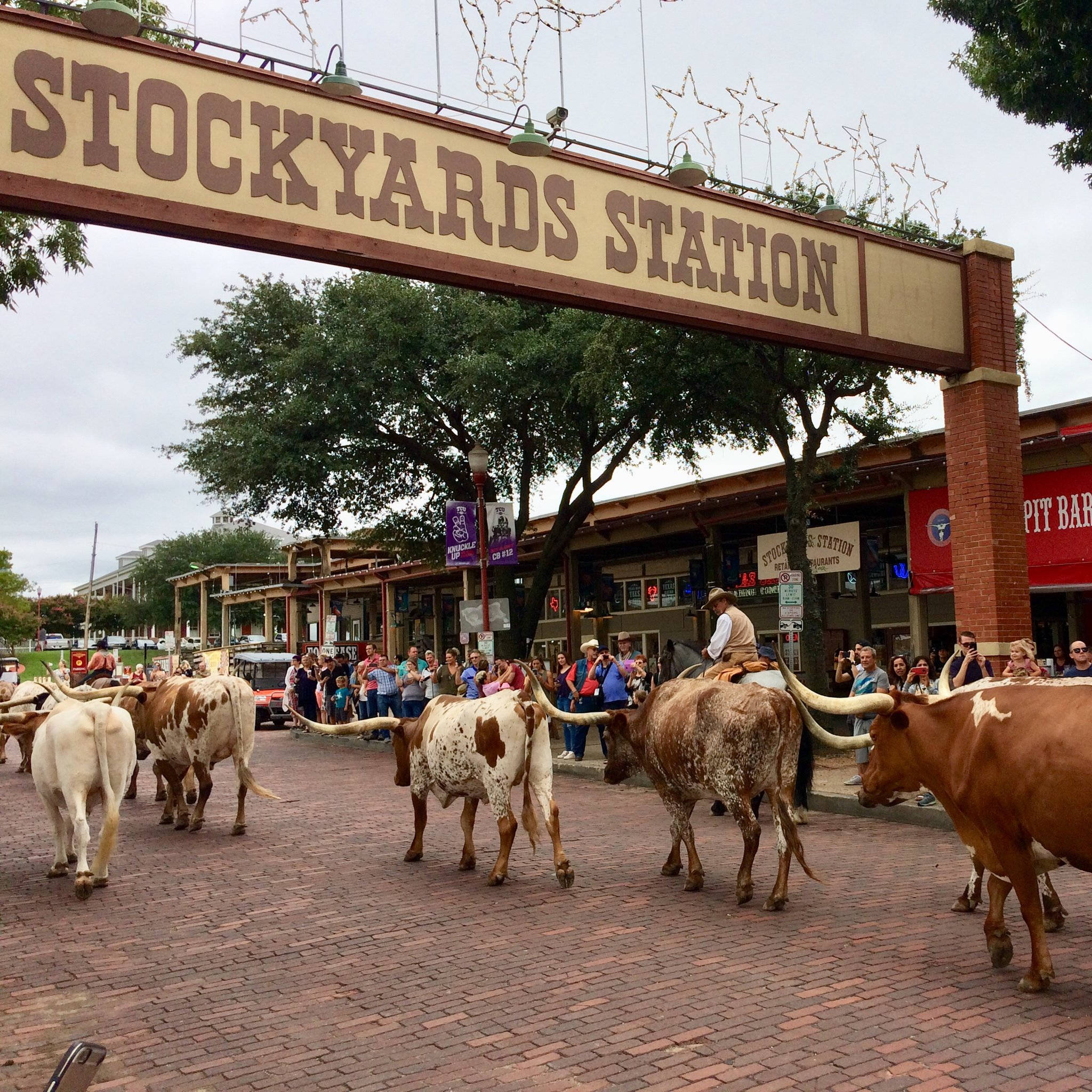 沃斯堡歡迎標誌 壁紙 — 長角牛在「Stockyards Station」拱門下游行，旁觀者在多雲的日子觀看。